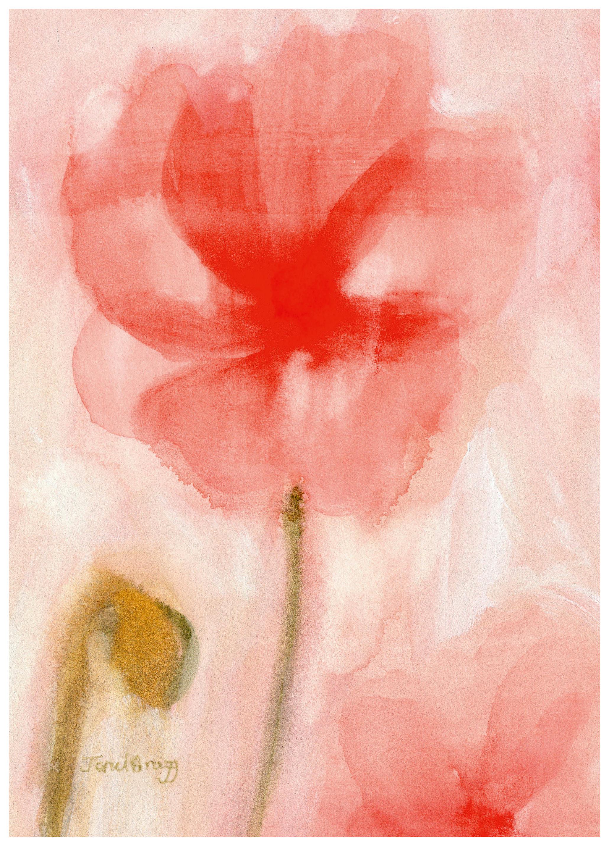 Janel Bragg - Red Watercolor Poppies Poster (50x70 cm) - Poster Store