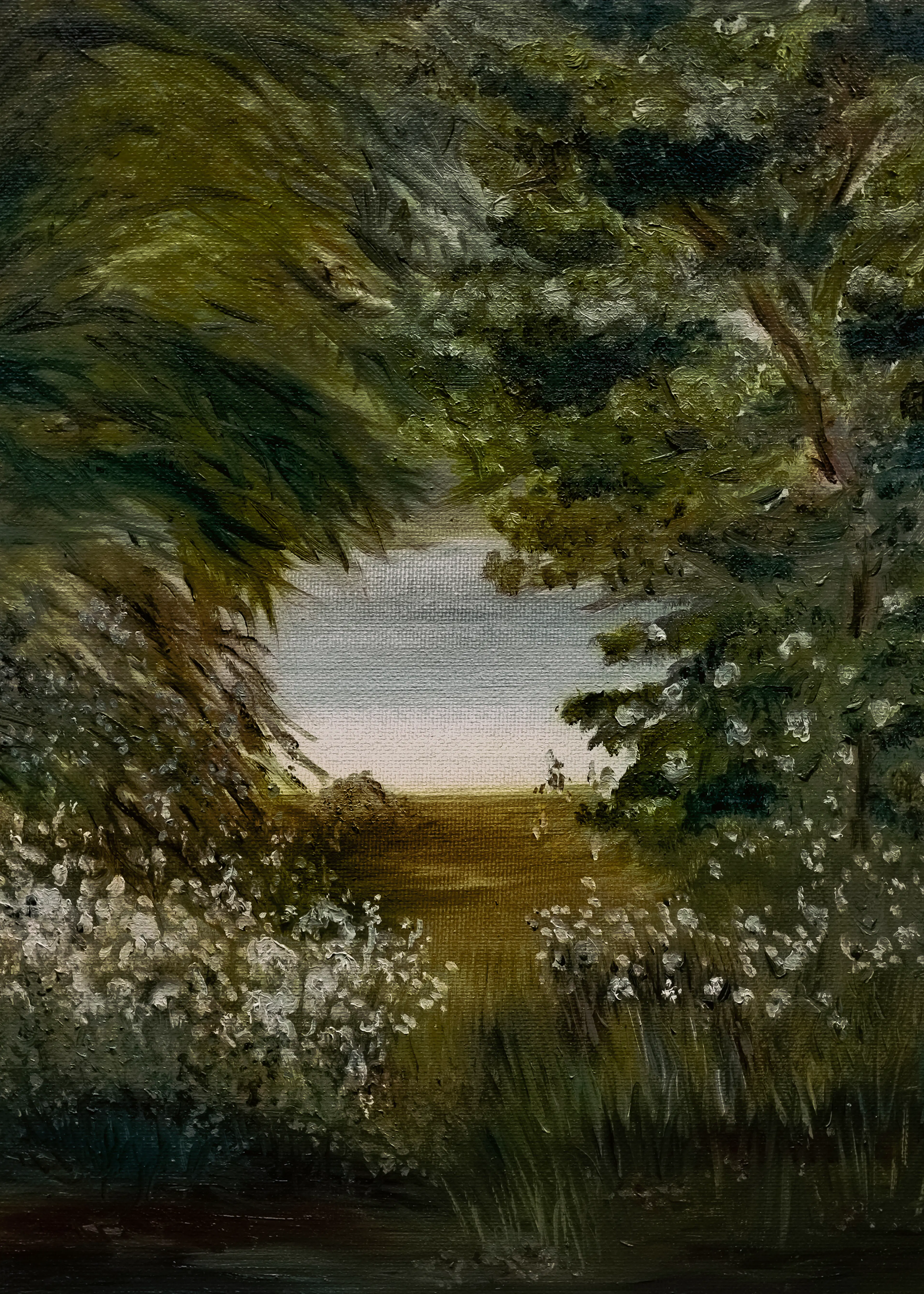 Emily Tingey - Serene Path to Lake Poster 0