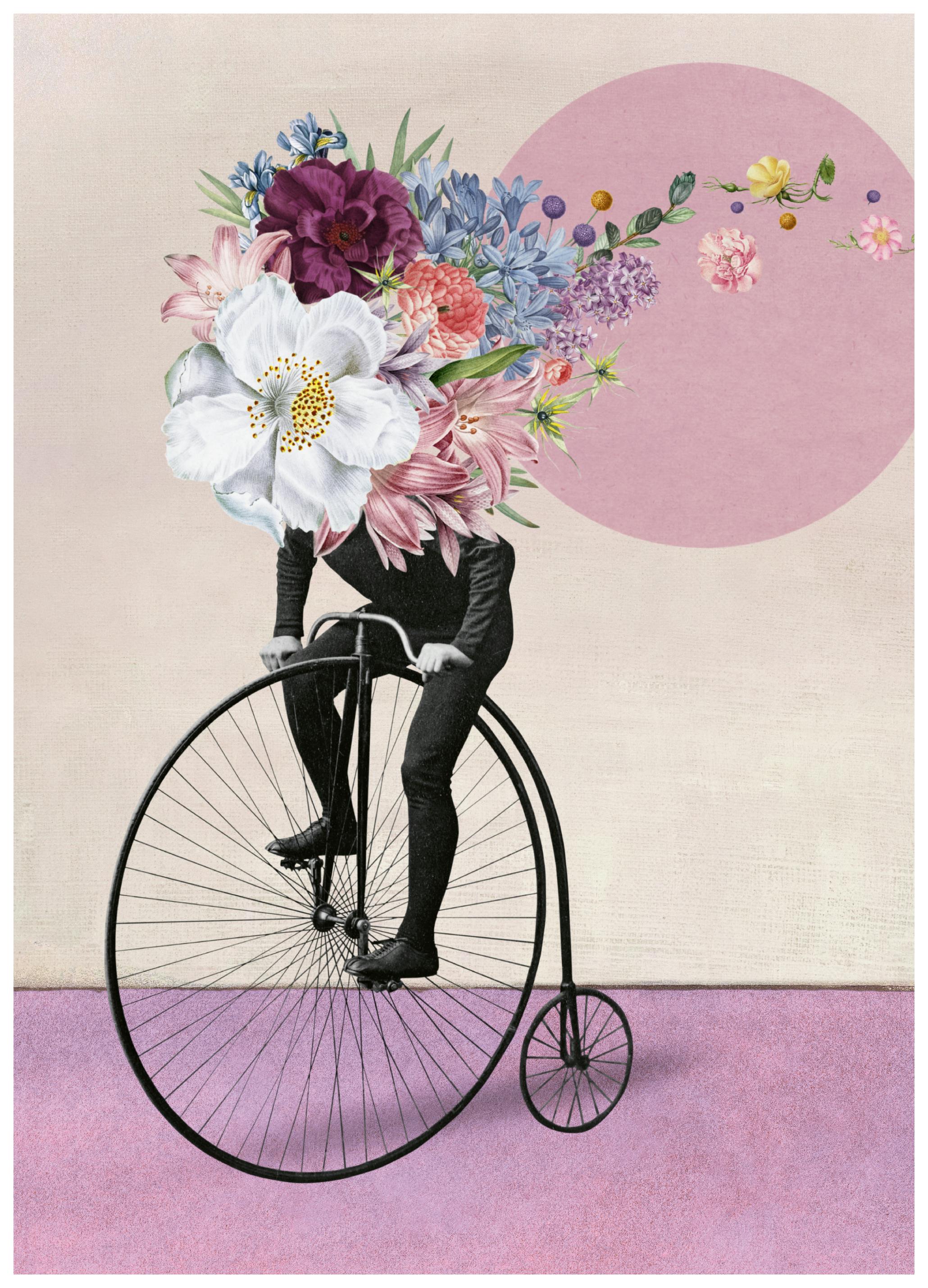 Marja van den Hurk - Blumenkopf Hochrad Poster (70x100 cm) - Poster Store