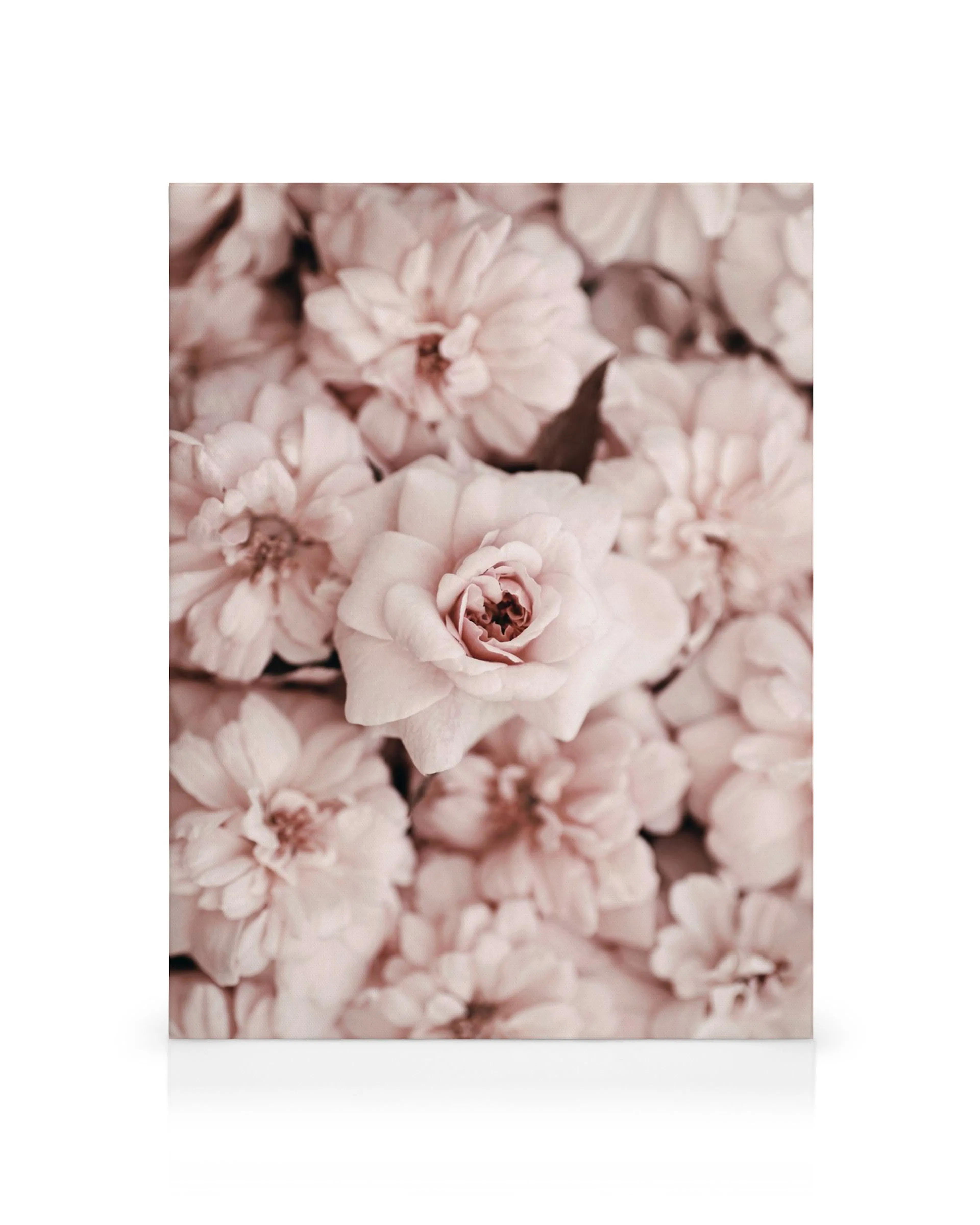Product image: 1