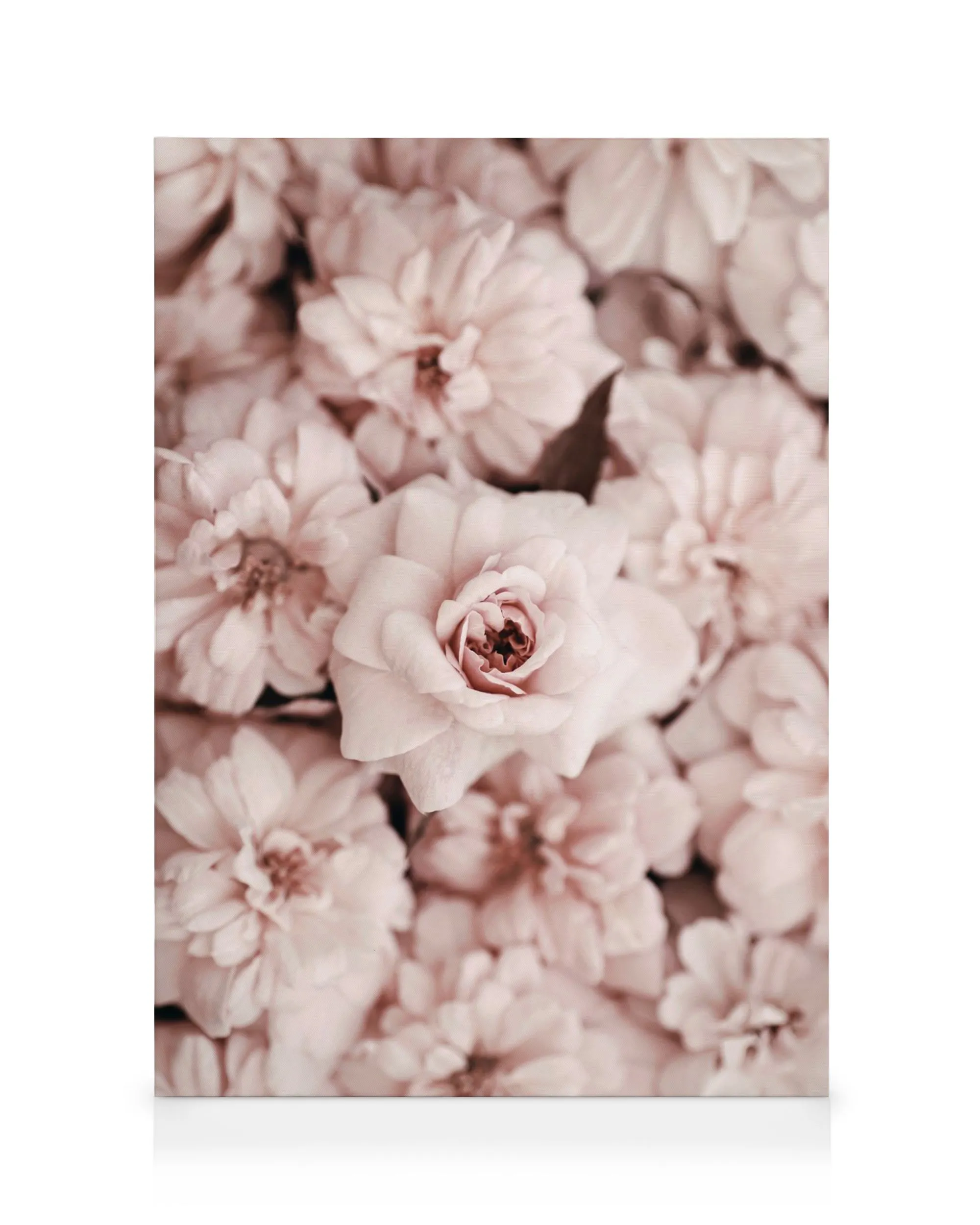 Bed Of Flowers Canvas print 0