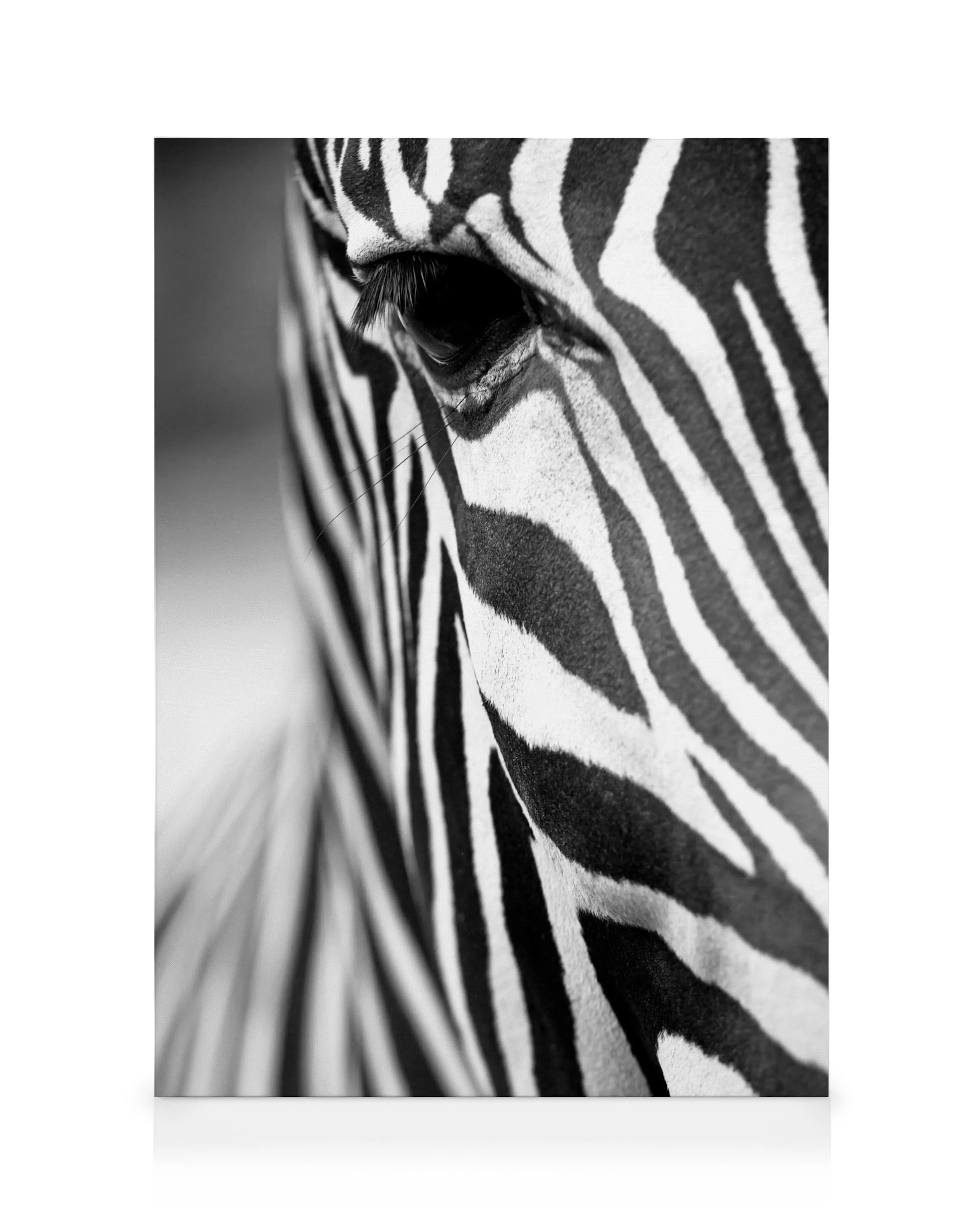 Zebra Close Up Canvas print 0