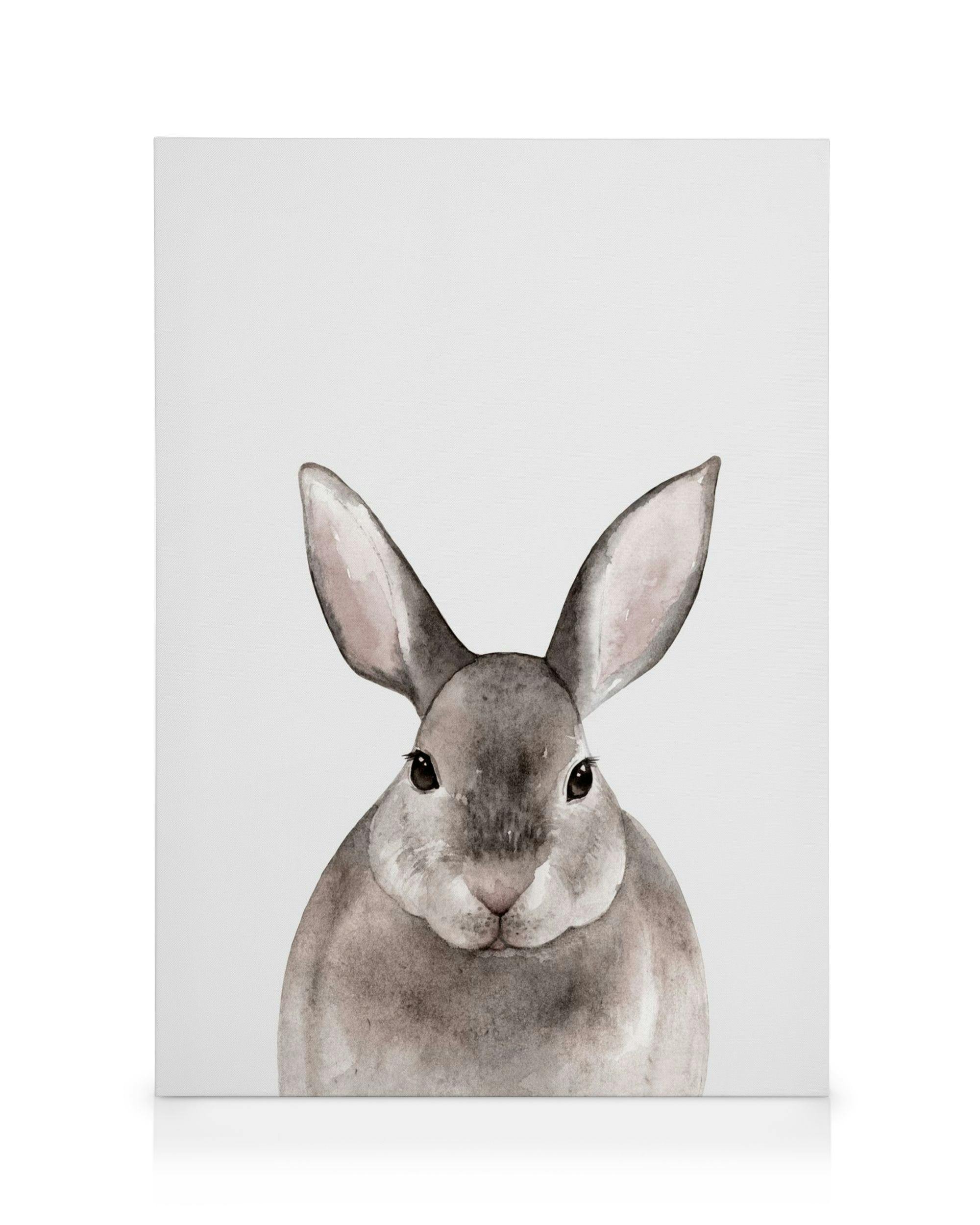 Pikku kani -kanvaasi (30x40 cm) - Poster Store