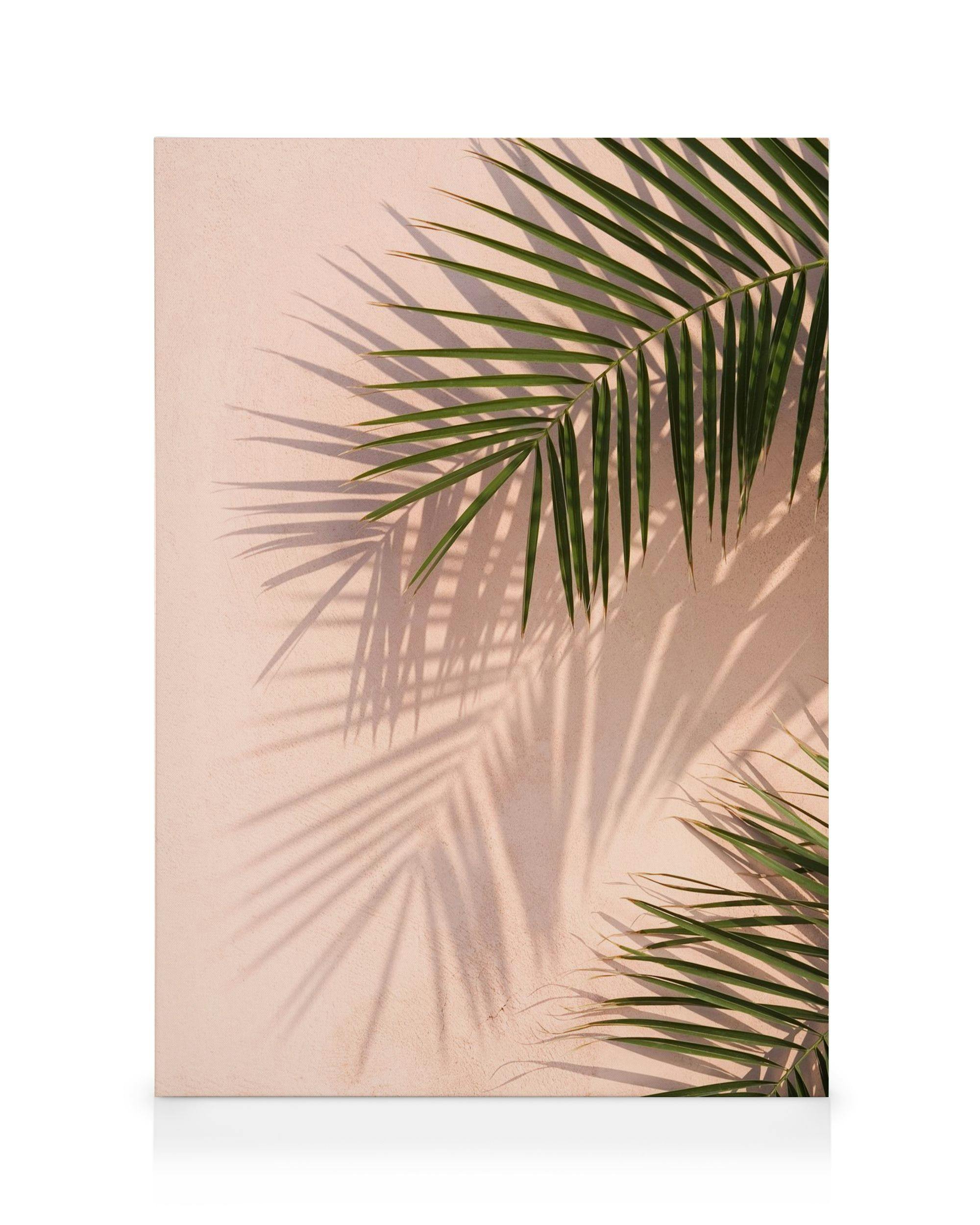 Pink Palm Canvas print (50x70 cm - Black Frame) - Poster Store High Quality Picture Frames