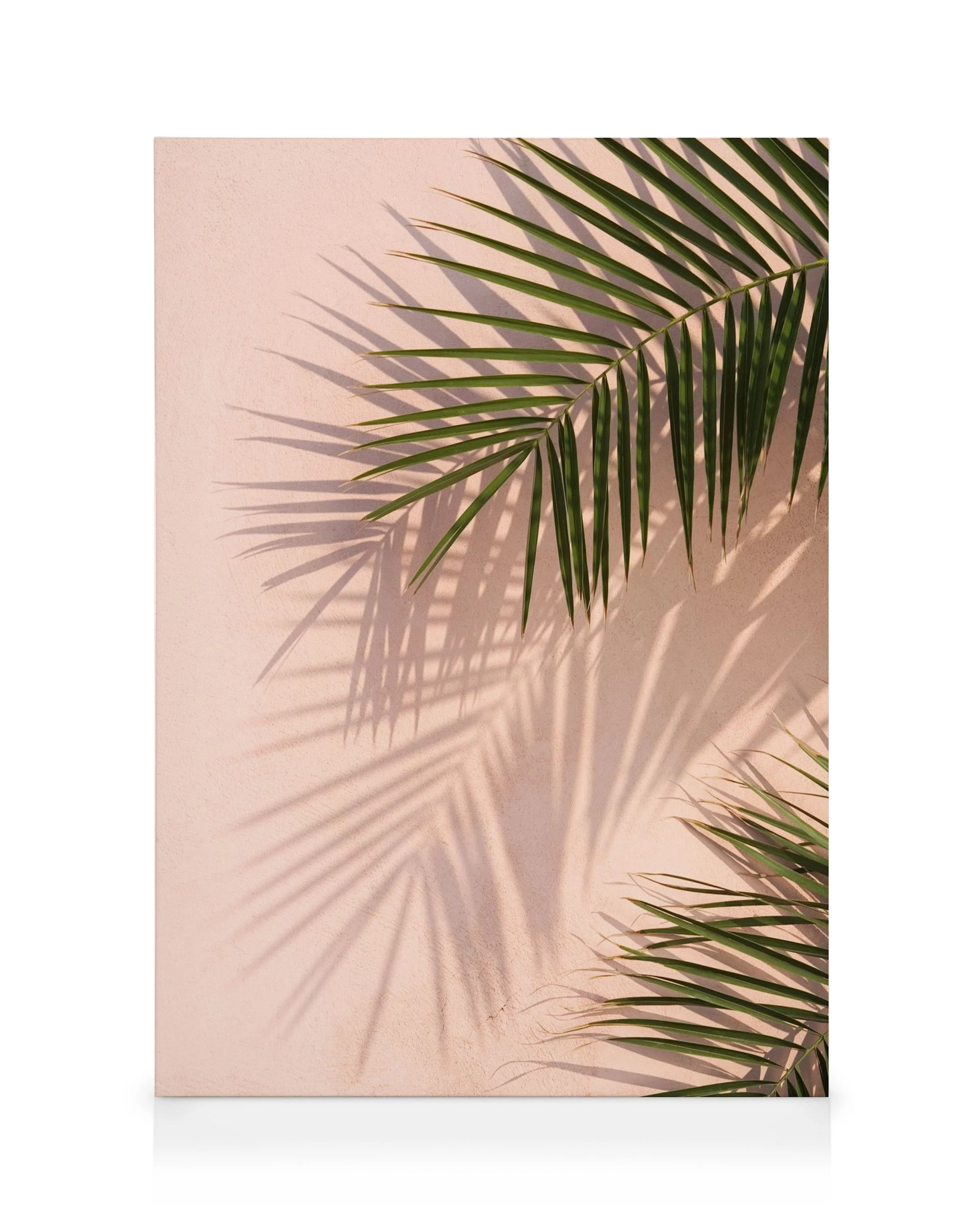 Pink Palm Canvas print 0