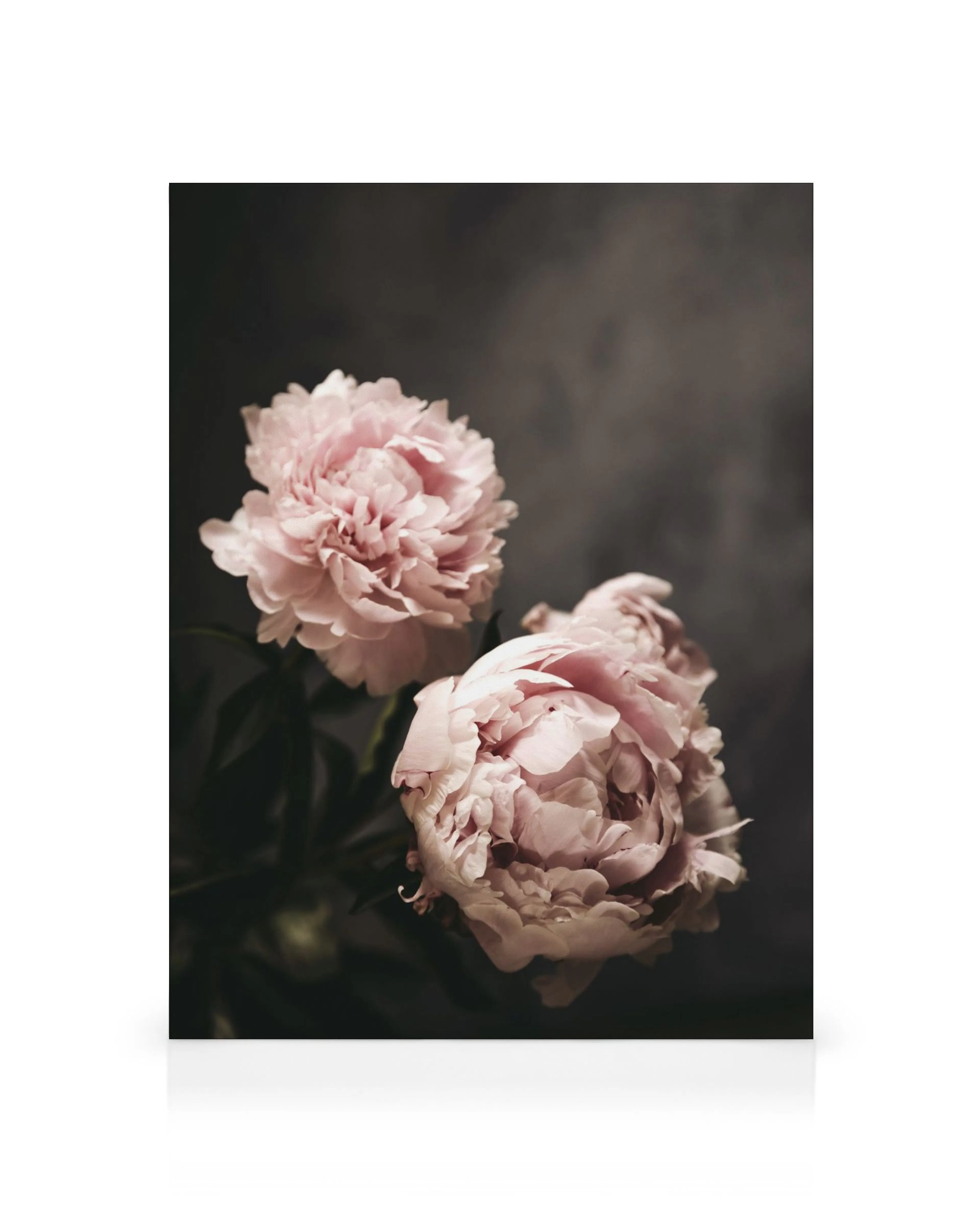 Product image: 1