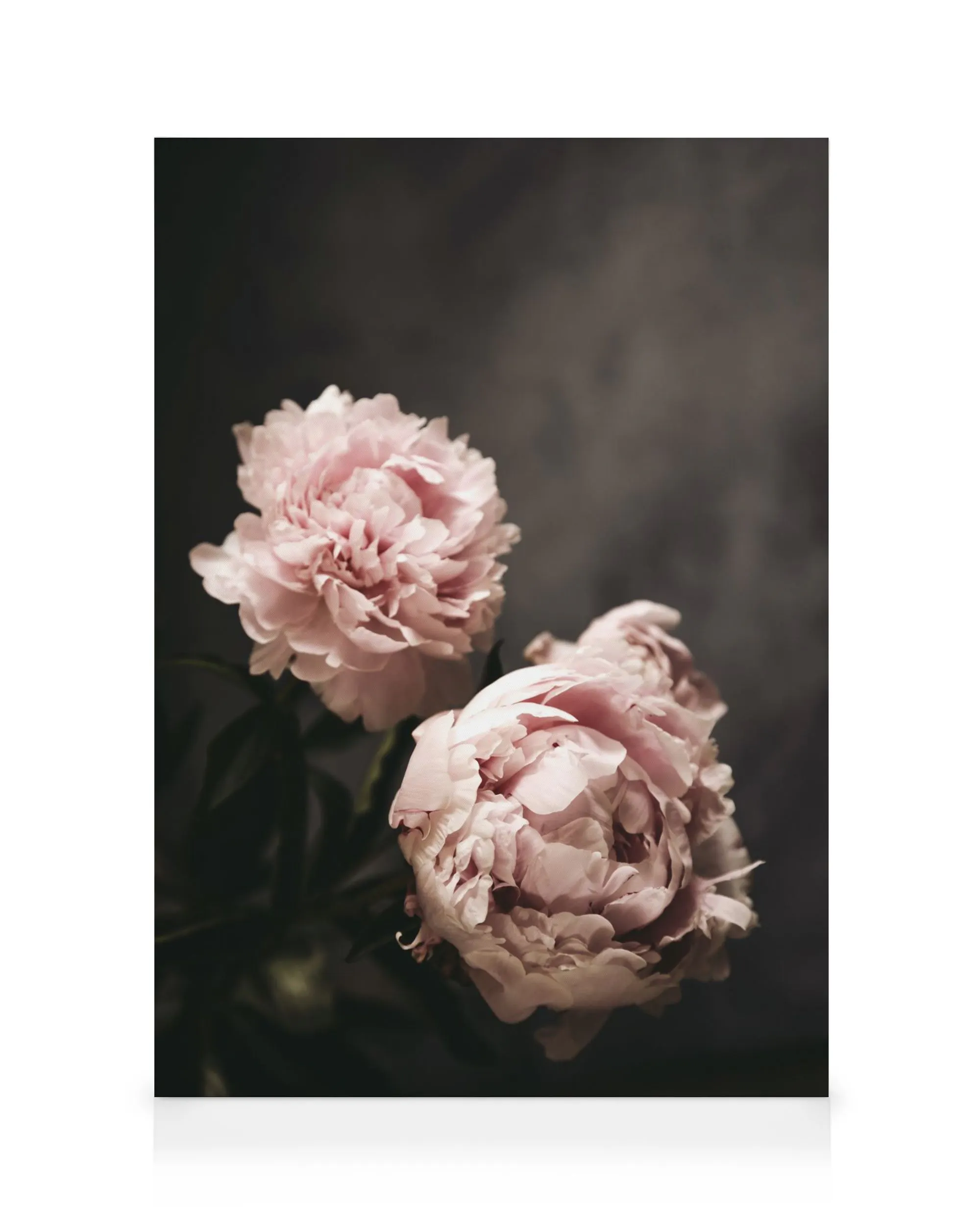 There's Beauty Canvas print 0