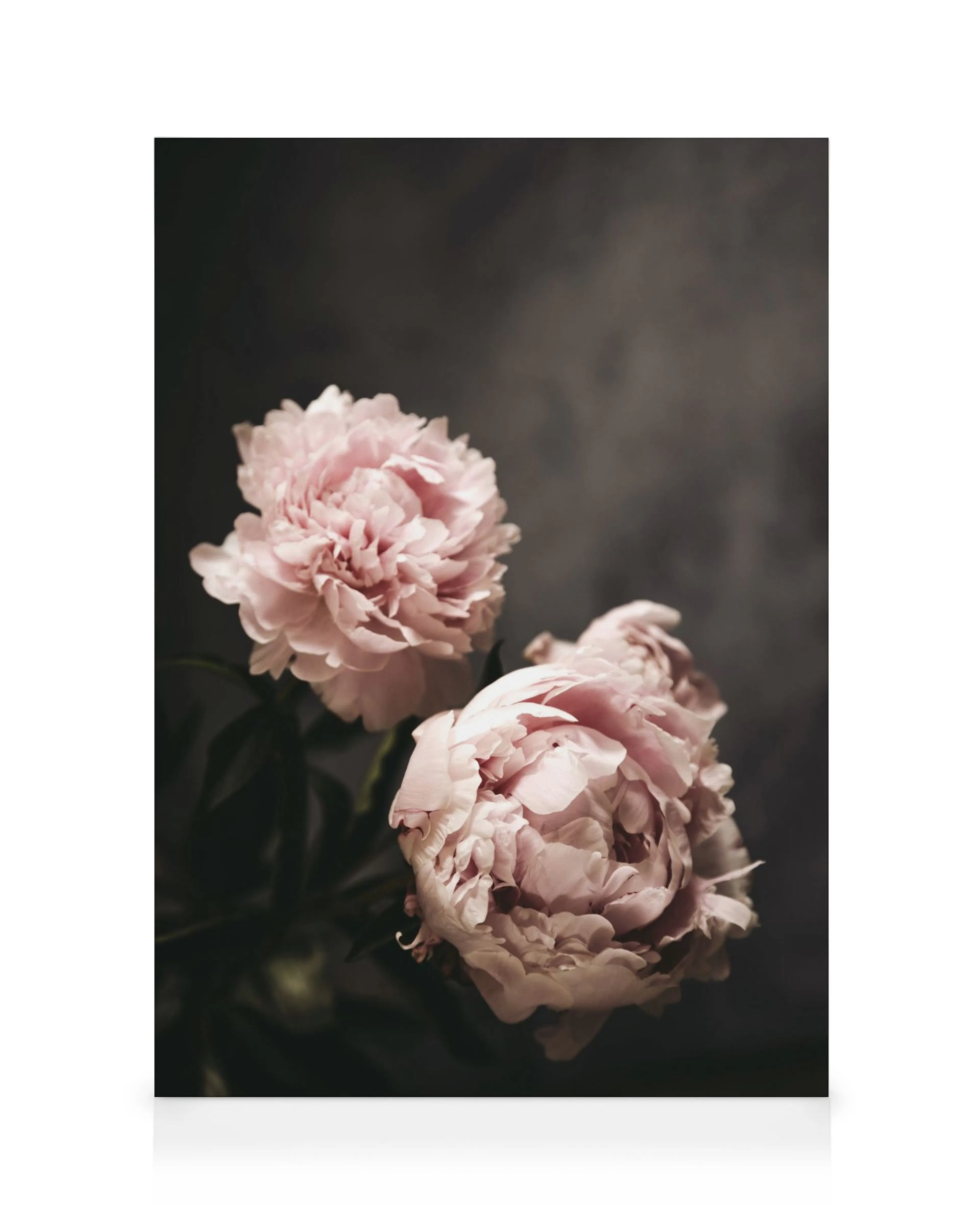 There's Beauty Canvas print 0