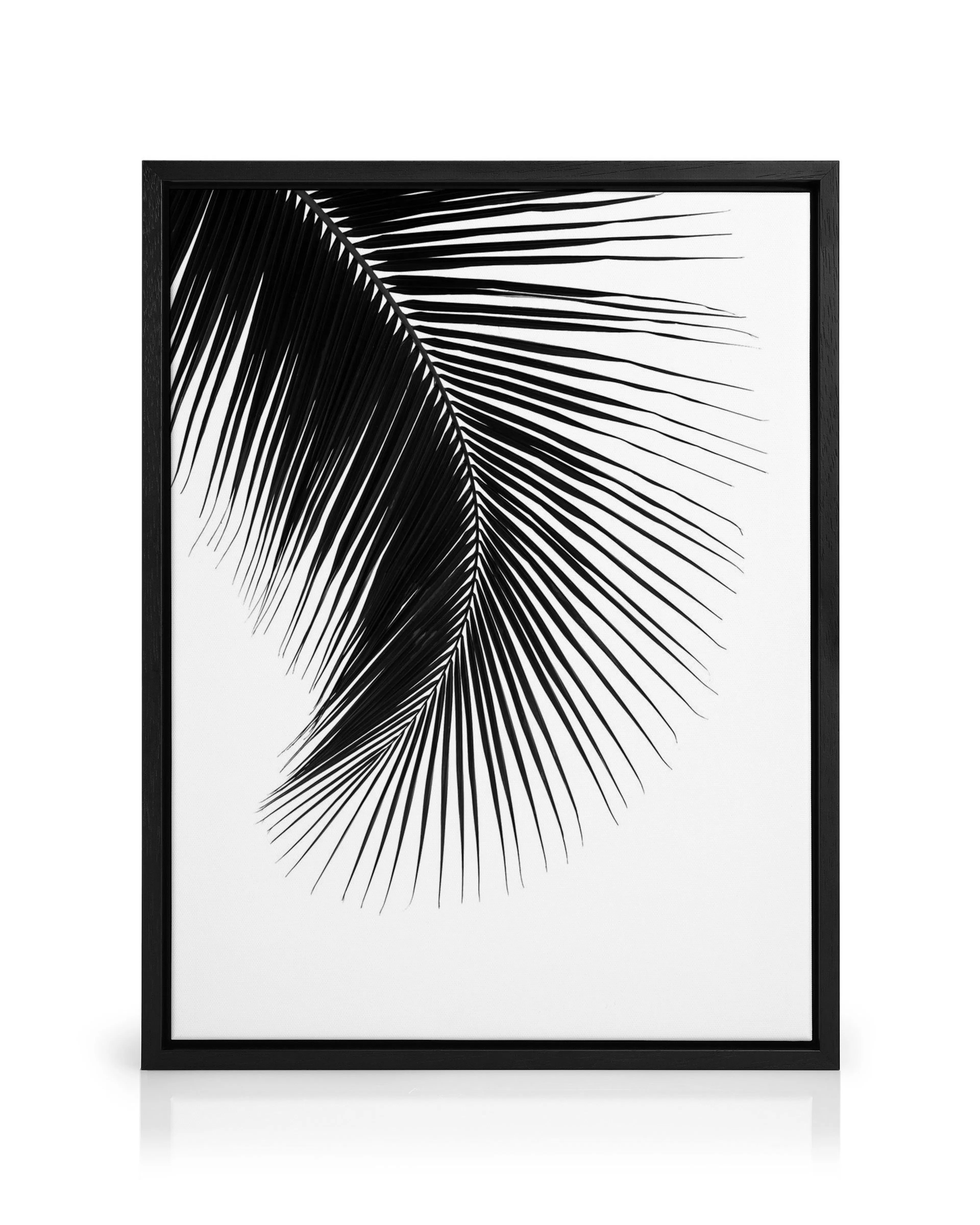Product image: 1