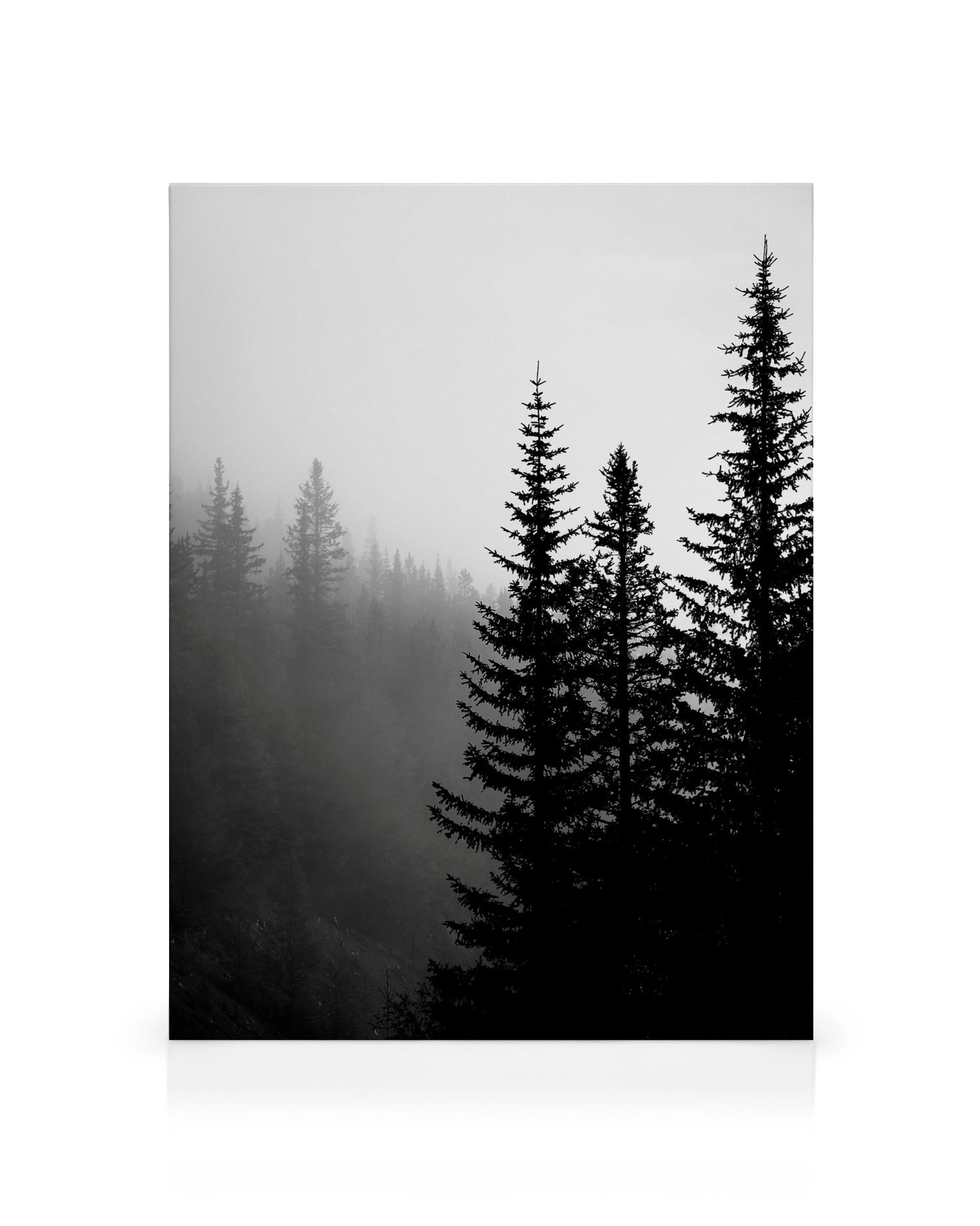Product image: 1