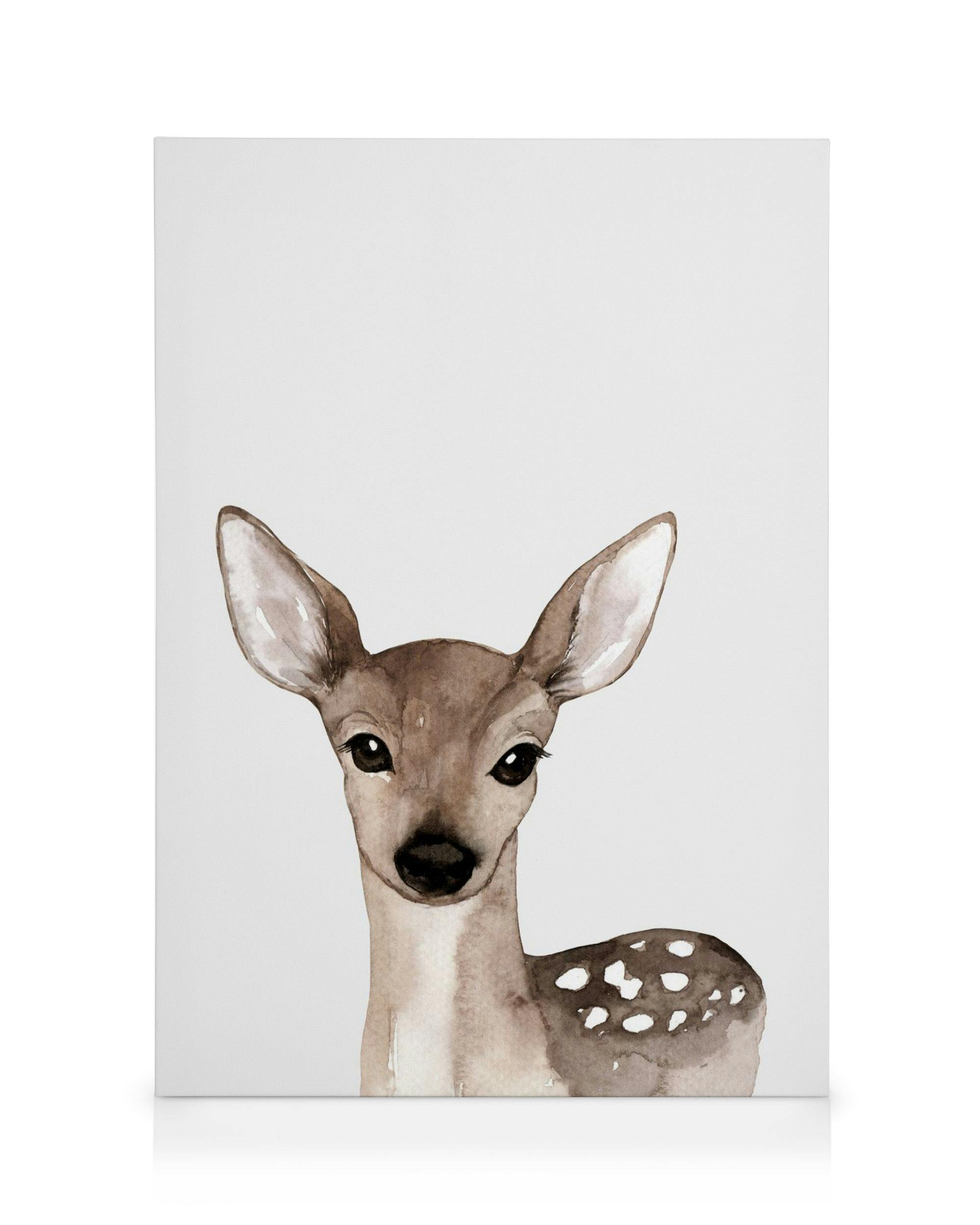 Canvas Prints - Little Deer Canvas print (50x70 cm - Black Frame) - Poster Store