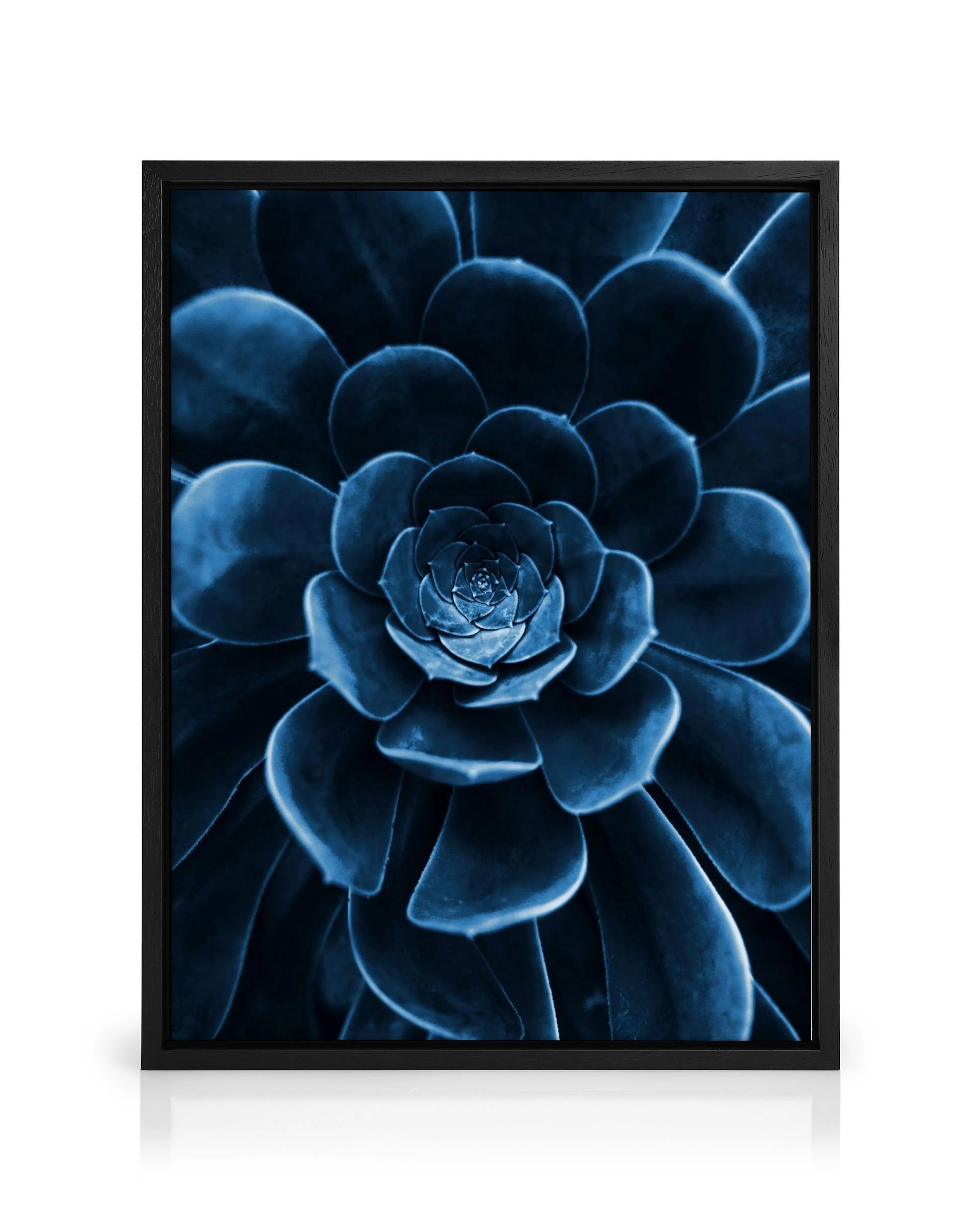 Product image: 1