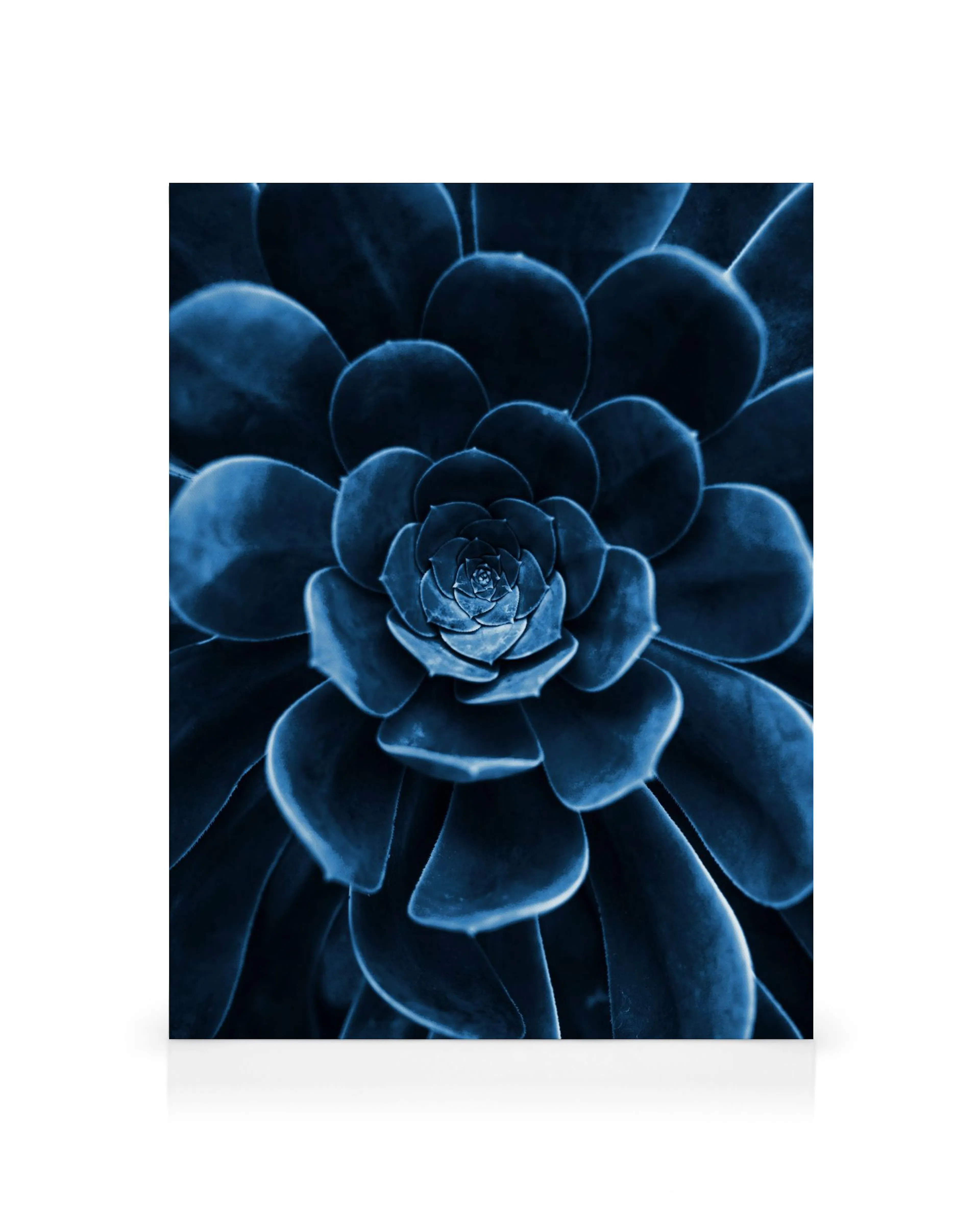 Product image: 1