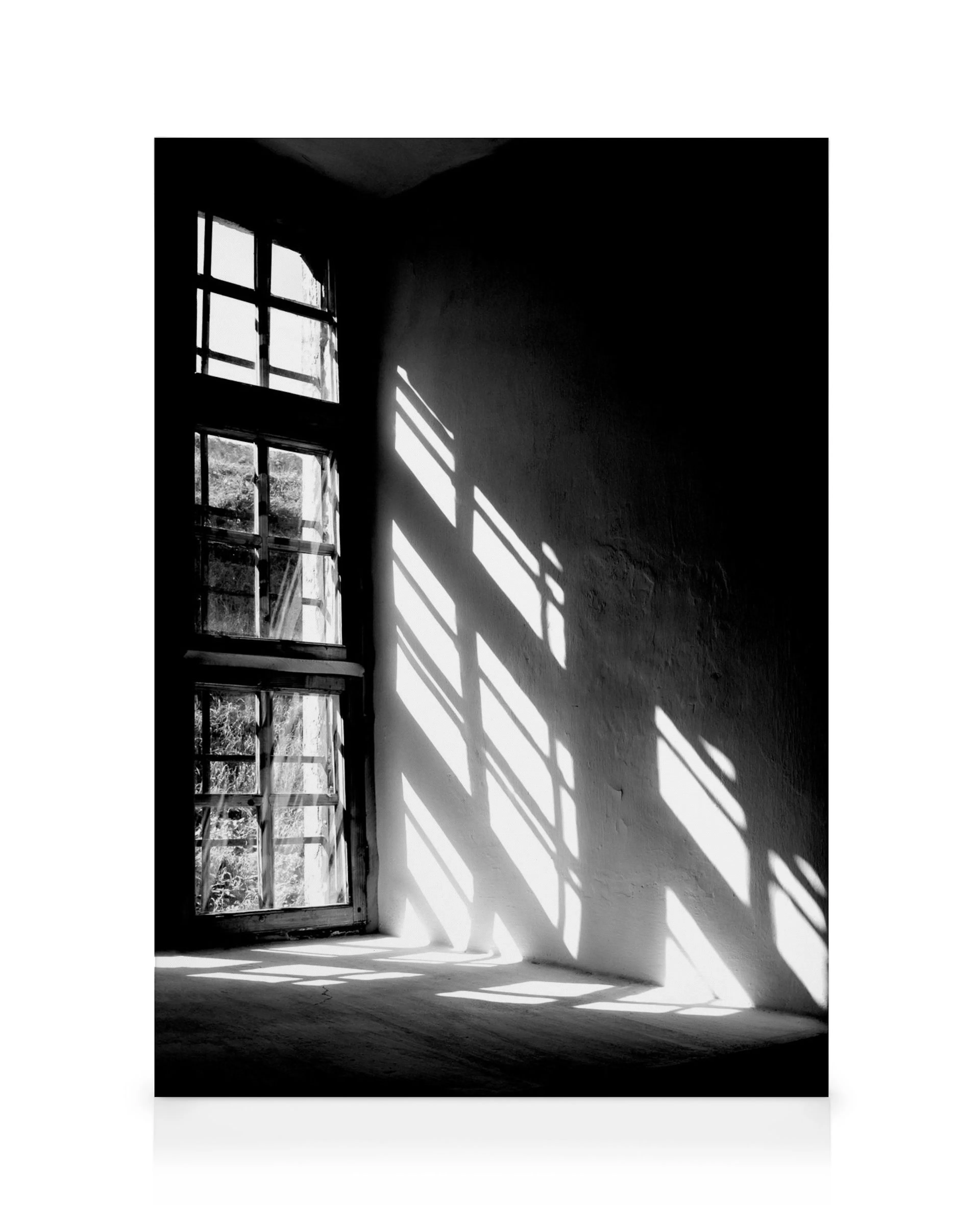 Let The Light In Canvas print 0