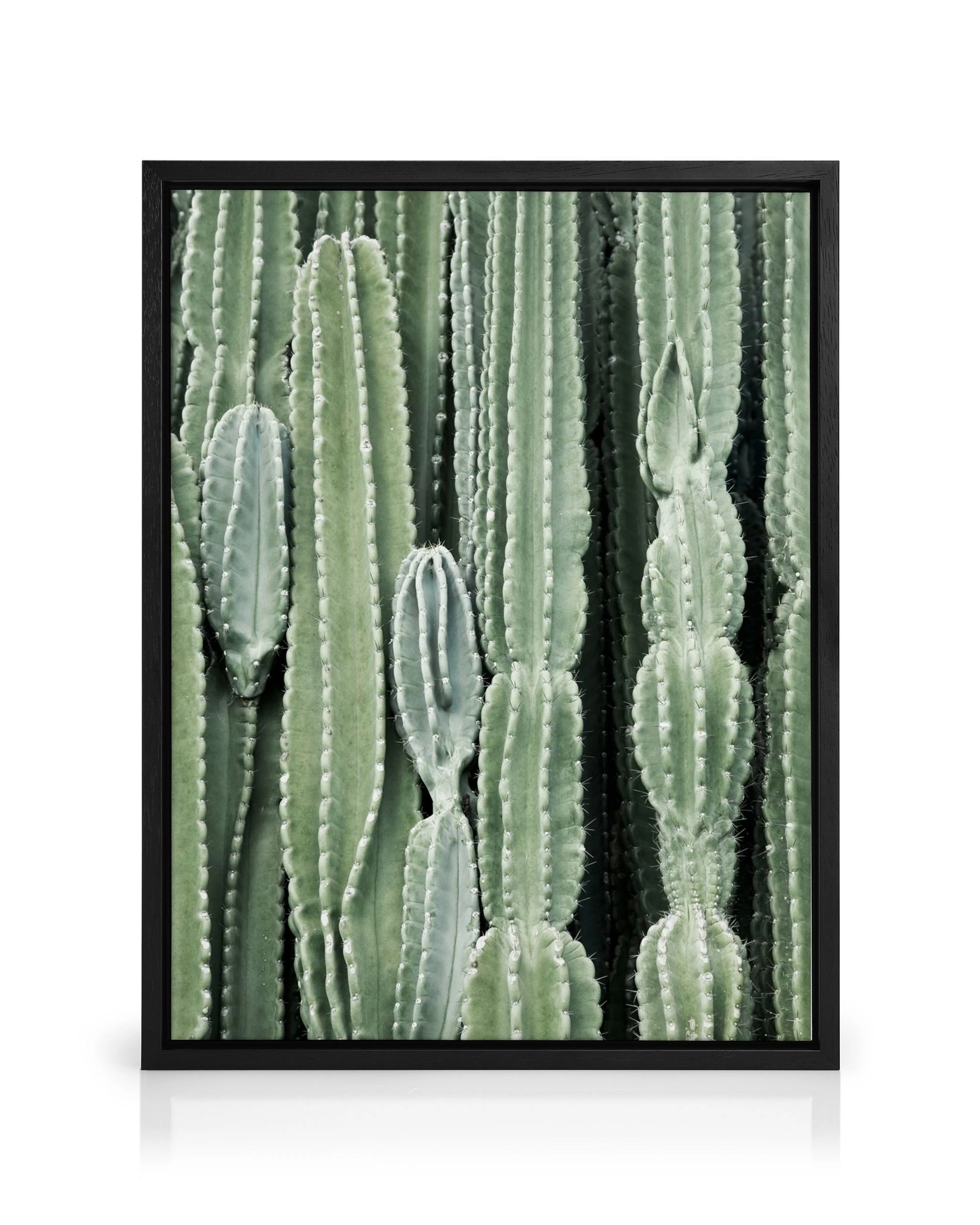 Product image: 1