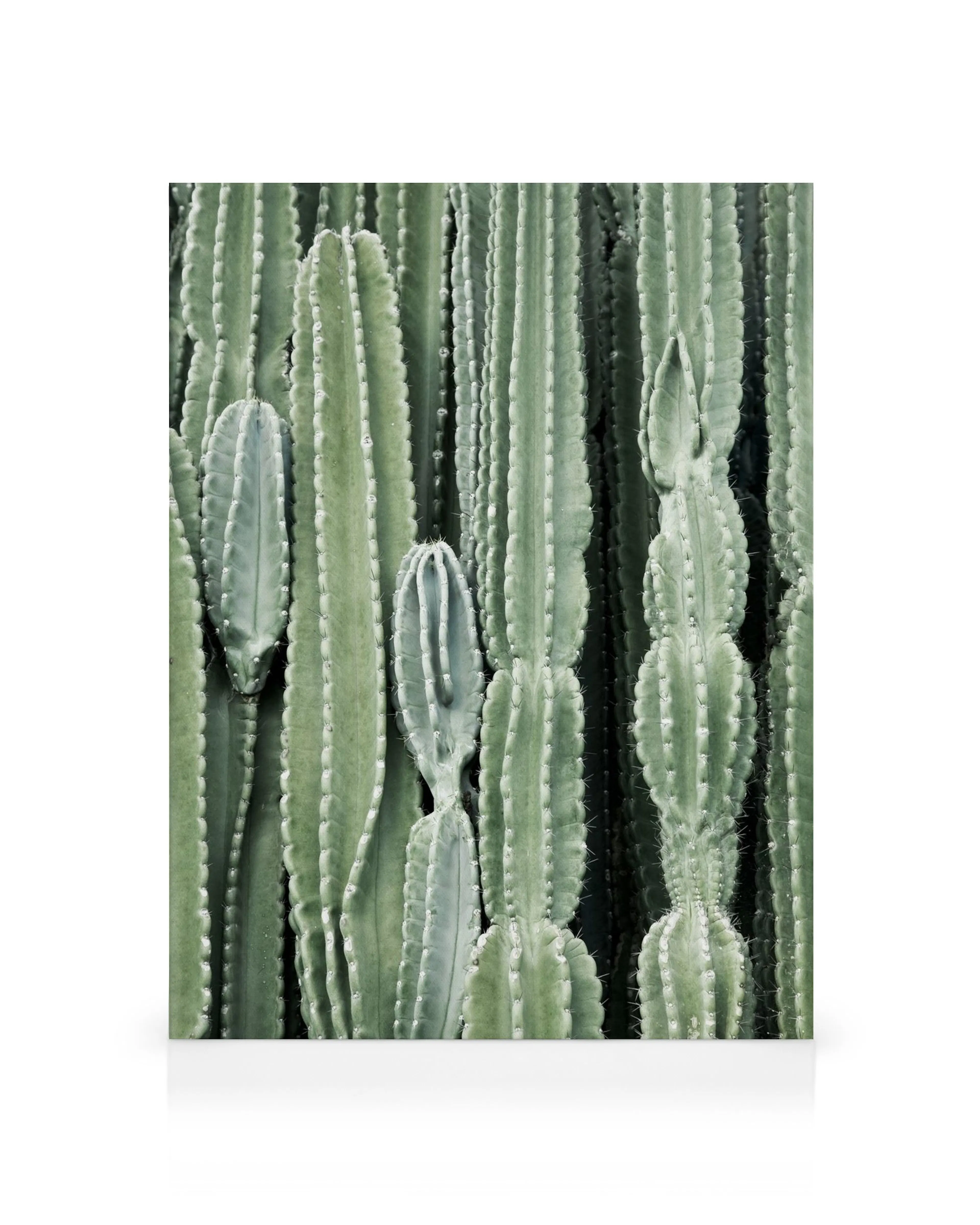 Product image: 1