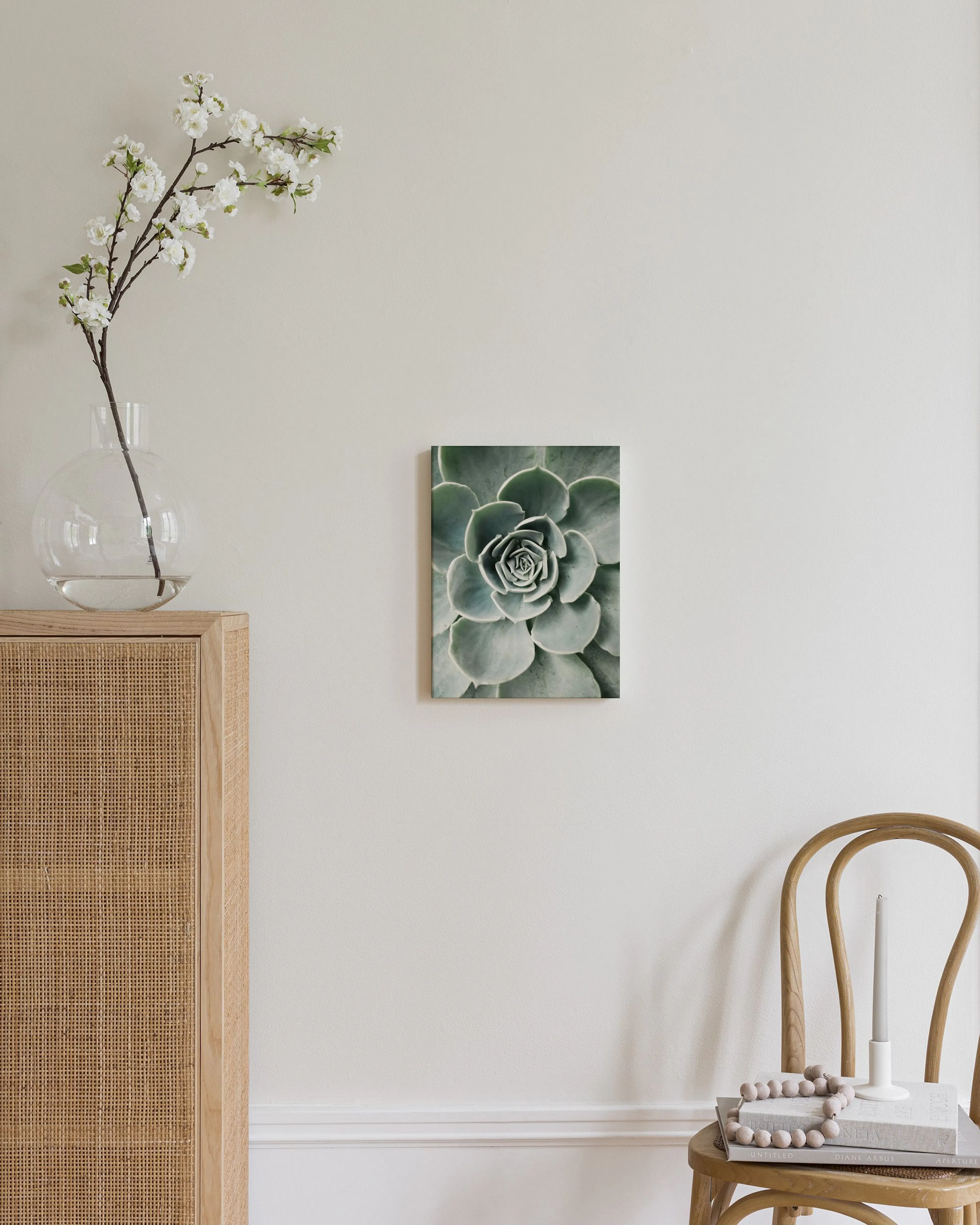Leinwandbild einer grünen Sukkulente, die an einer beigefarbenen Wand in einem Wohnzimmer hängt.