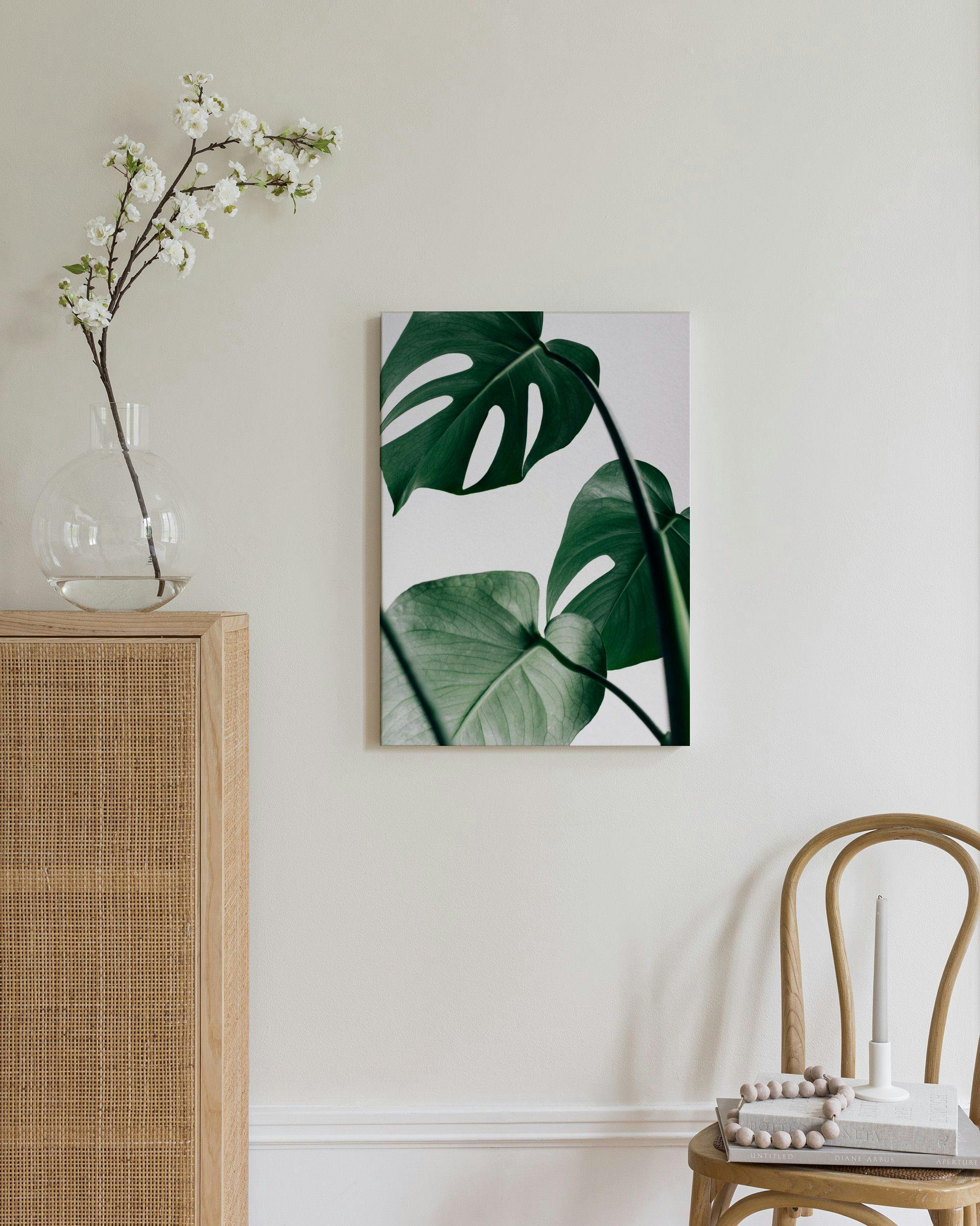 Canvas Prints - Monstera Leaves Canvas print (70x100 cm) - Poster Store