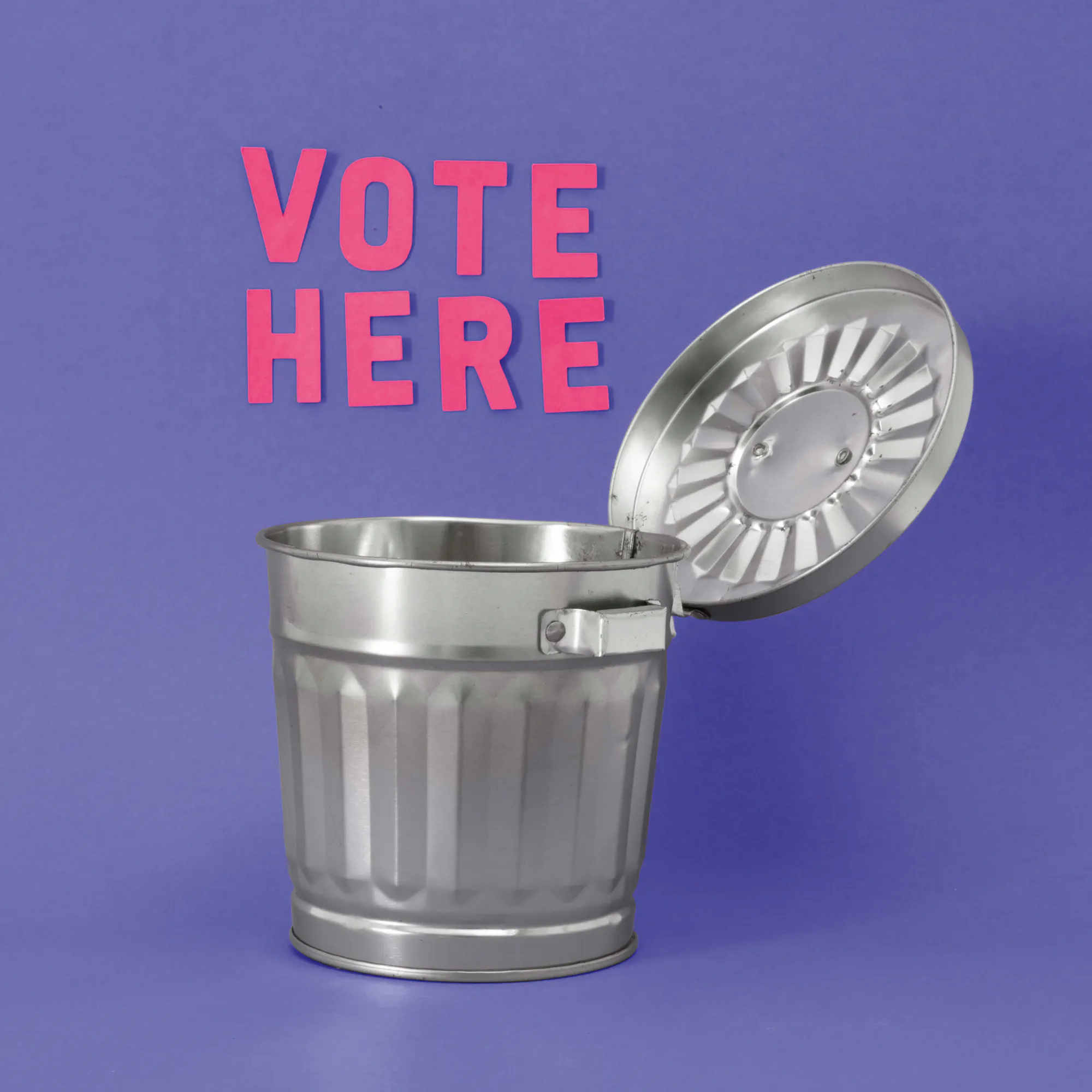 Julia Ramiro - Ballot In The Bin Poster 0