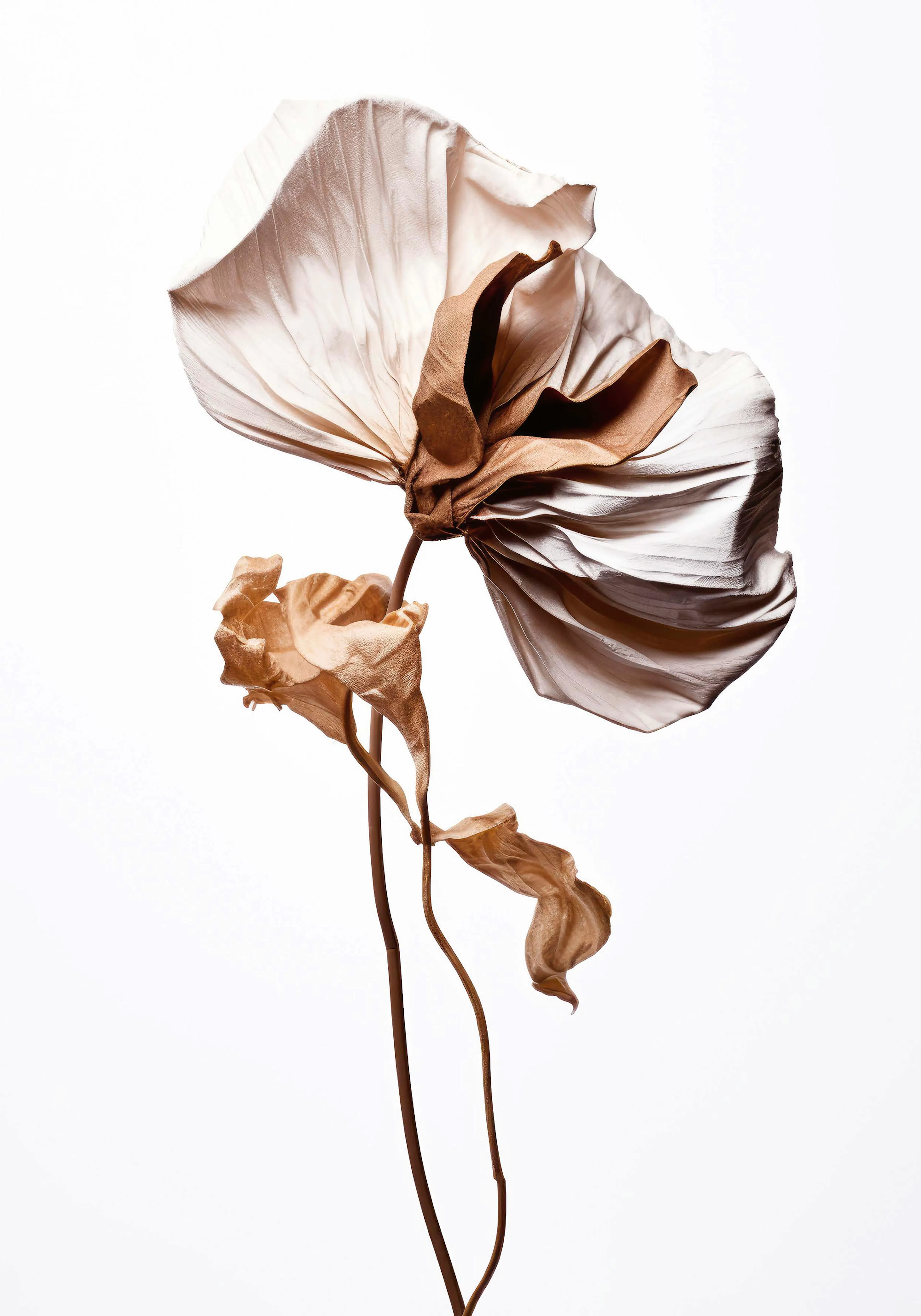 Product image: 1