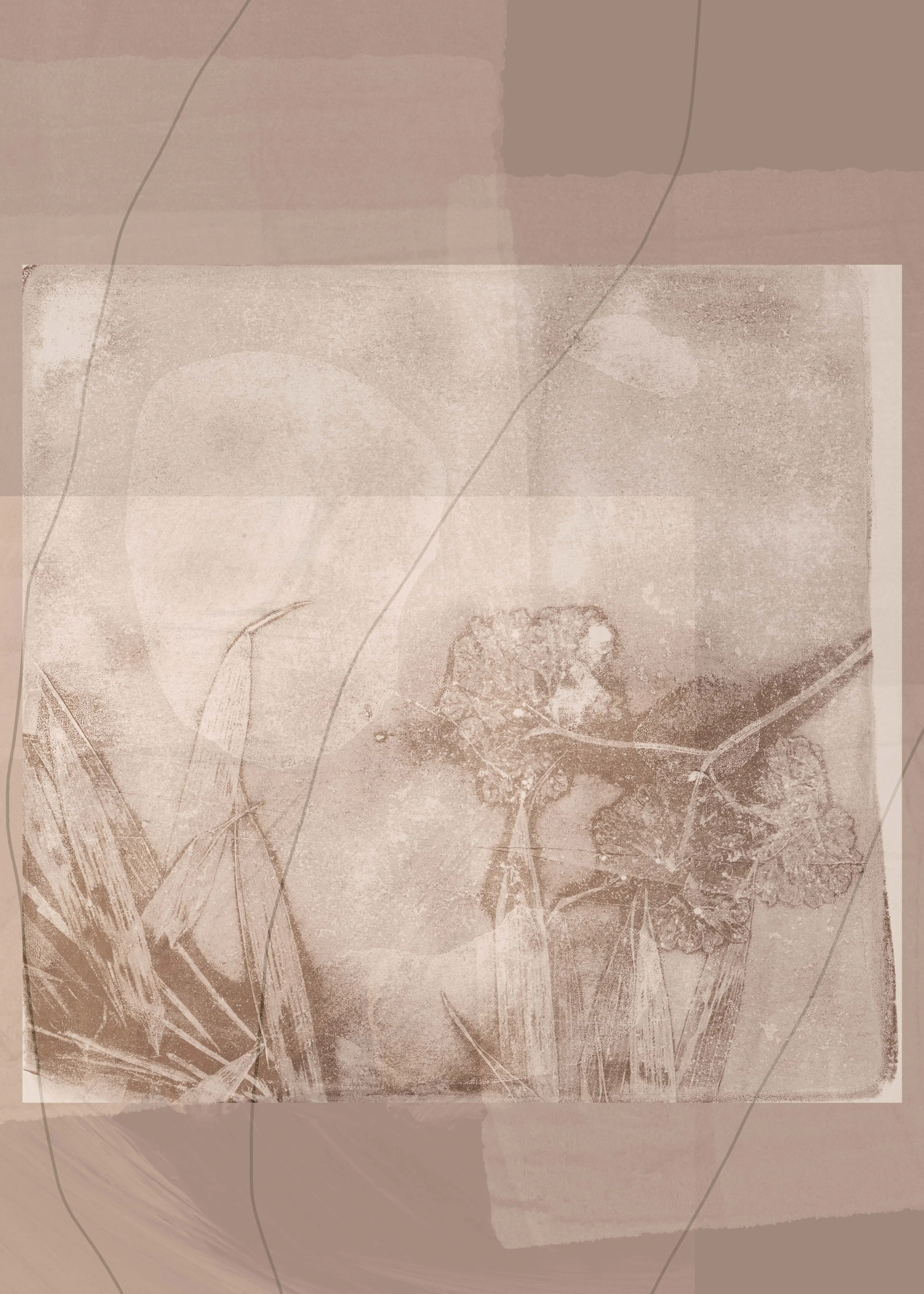 Dina Dankers - Fleur sépia éthérée Poster 0