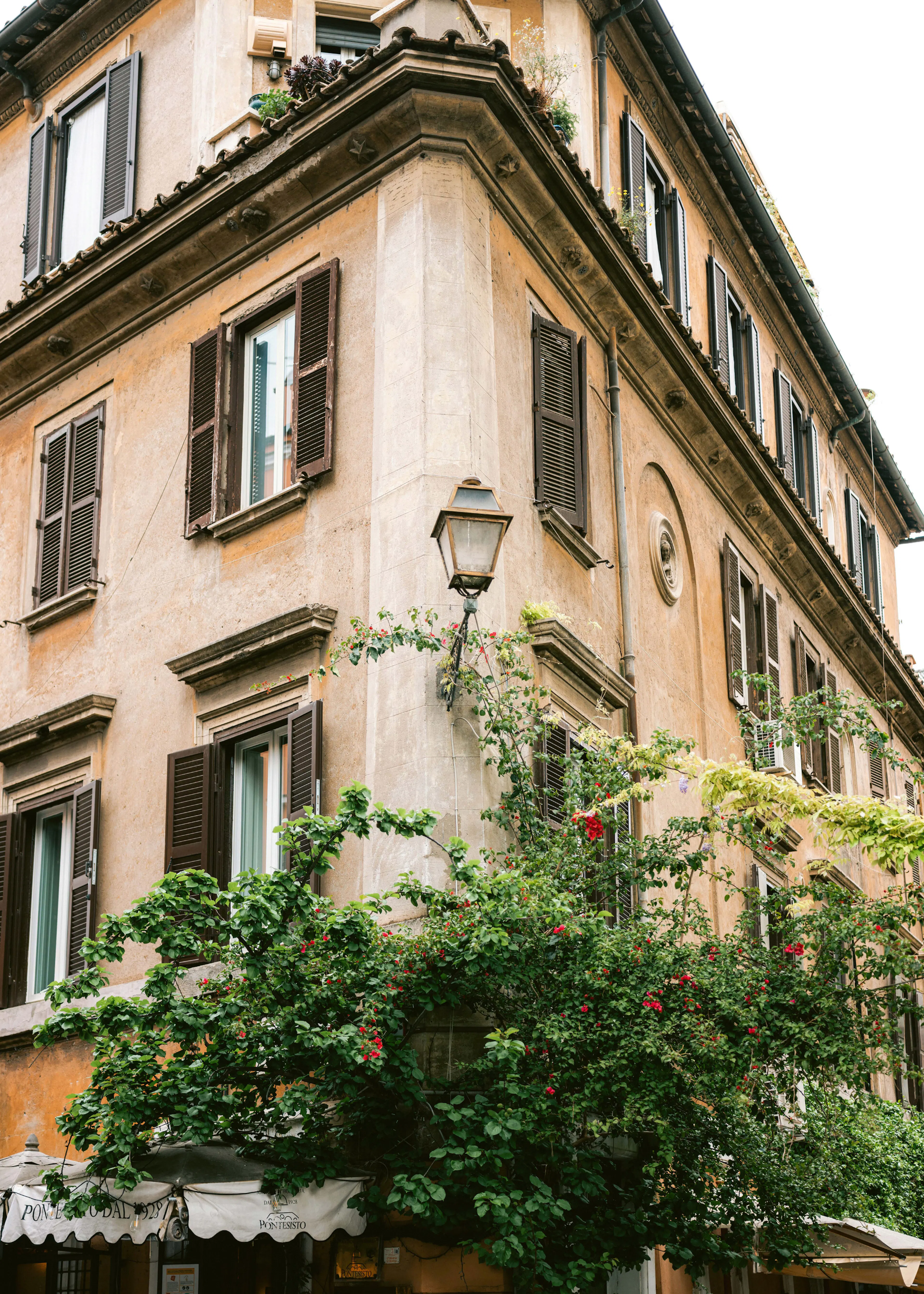 Raisa Zwart - Botanický Trastevere Rome || Plakát 0