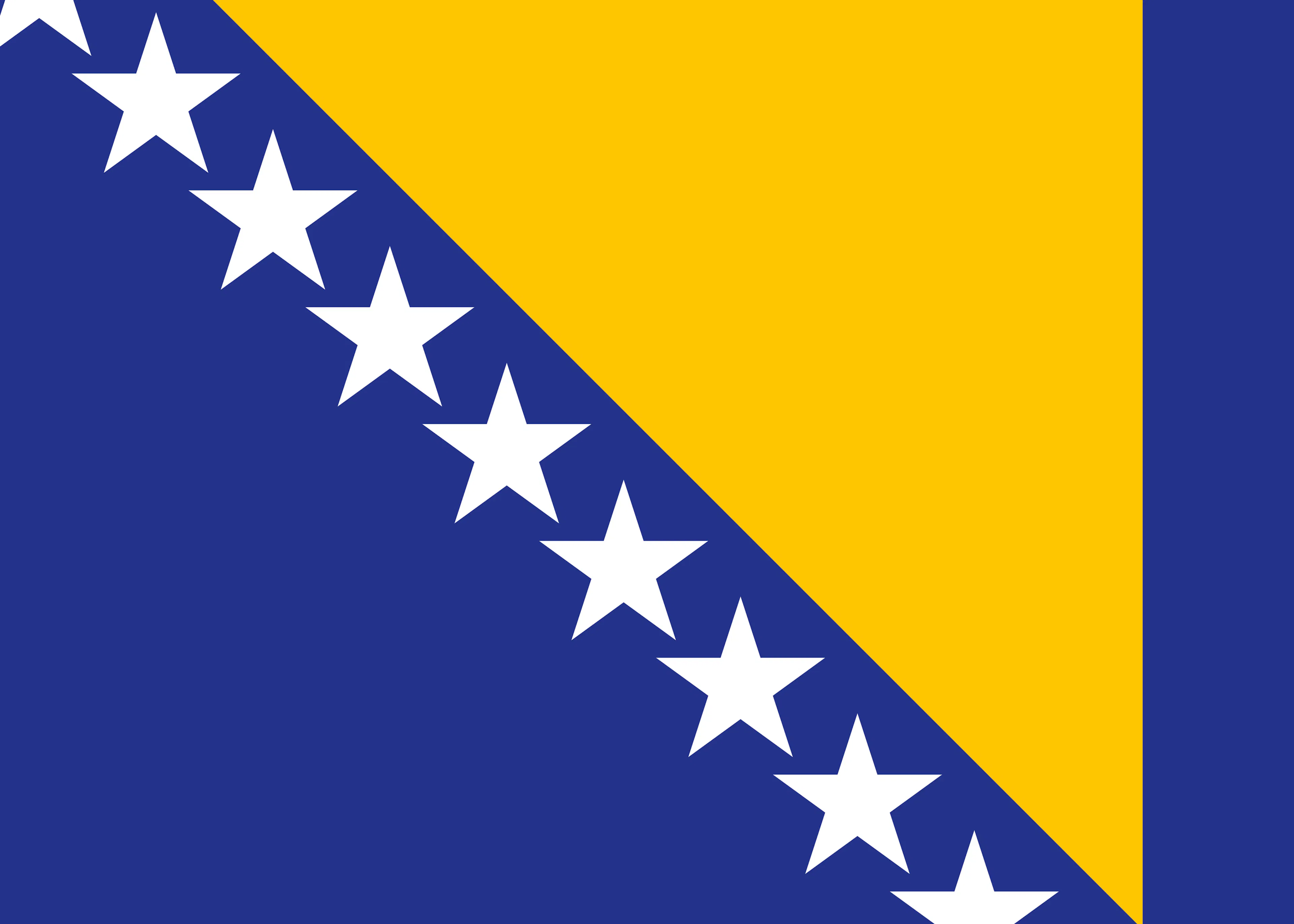Steag Bosnia și Herțegovina Poster 0