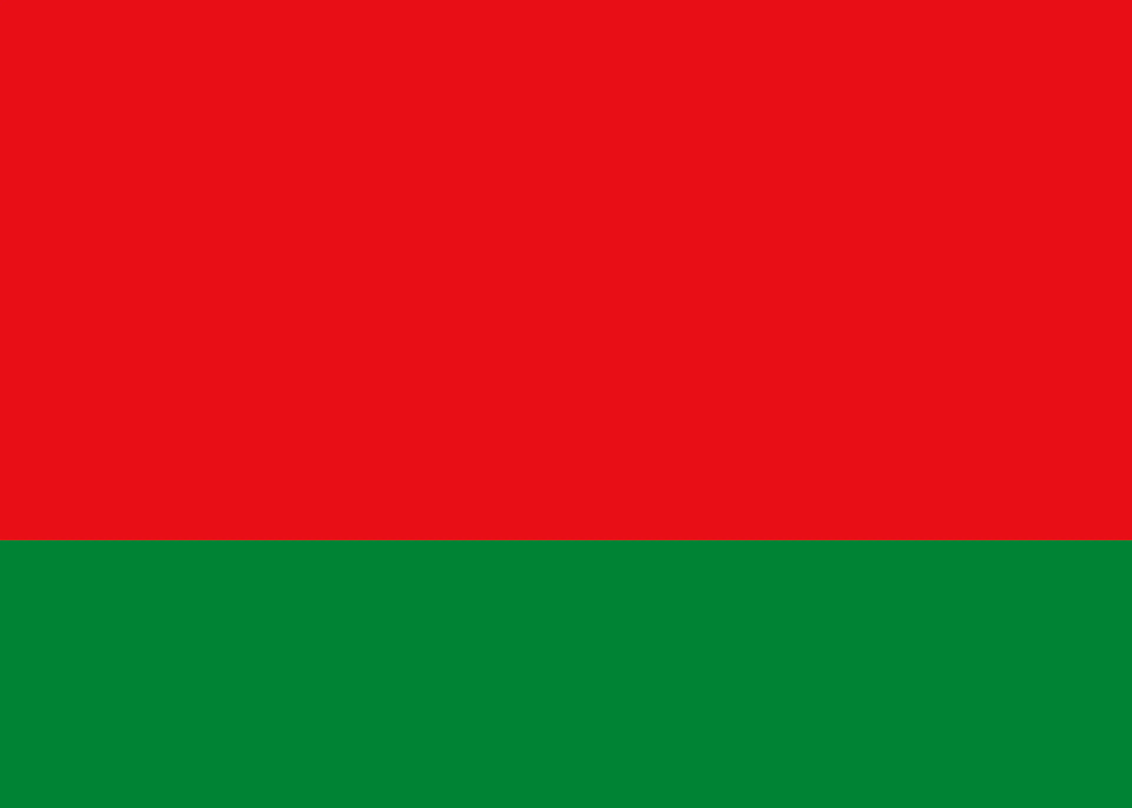 Wit-Rusland Vlag Poster 0