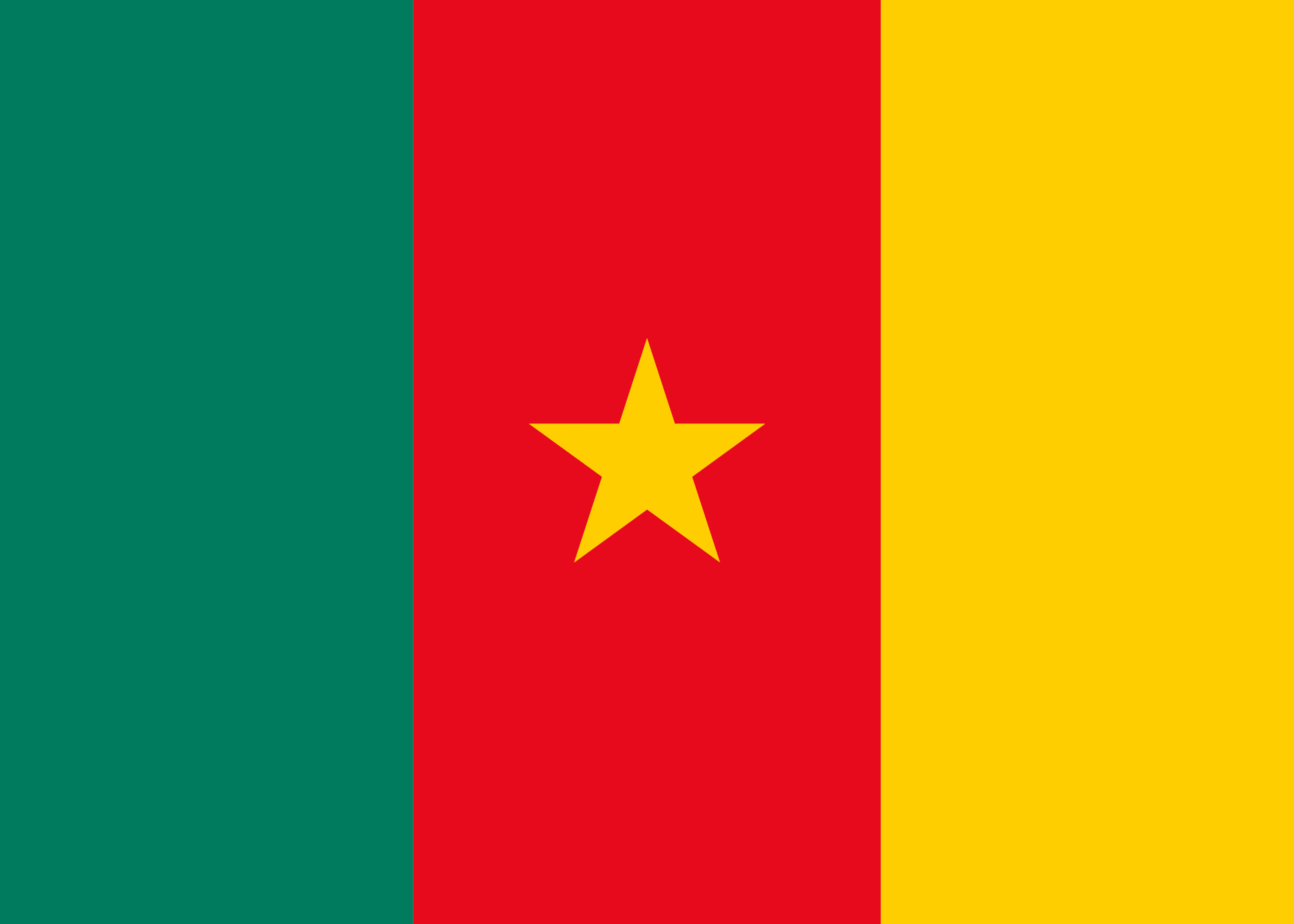 Kamerun Flagge Poster 0