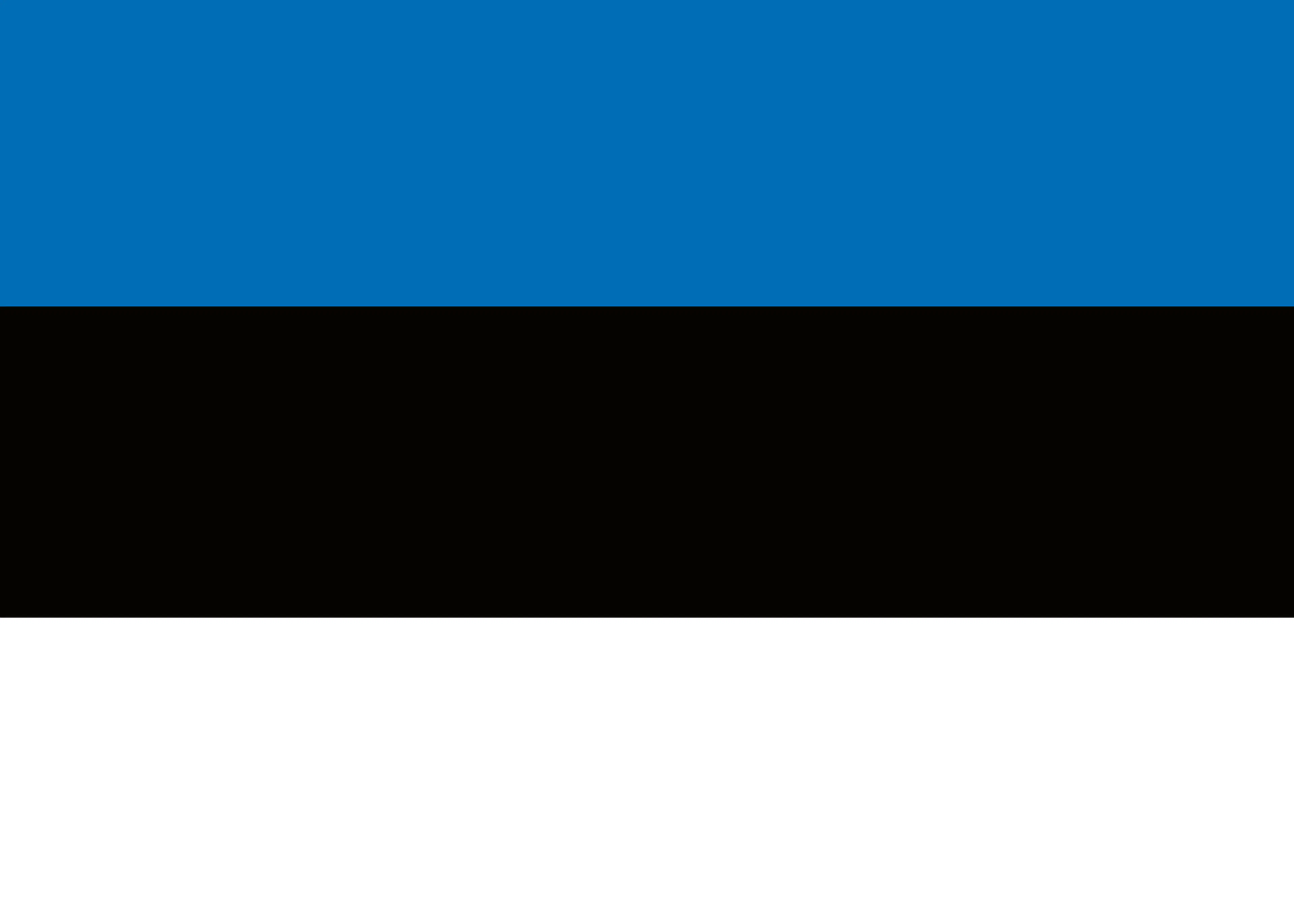 Estnische Flagge Poster 0