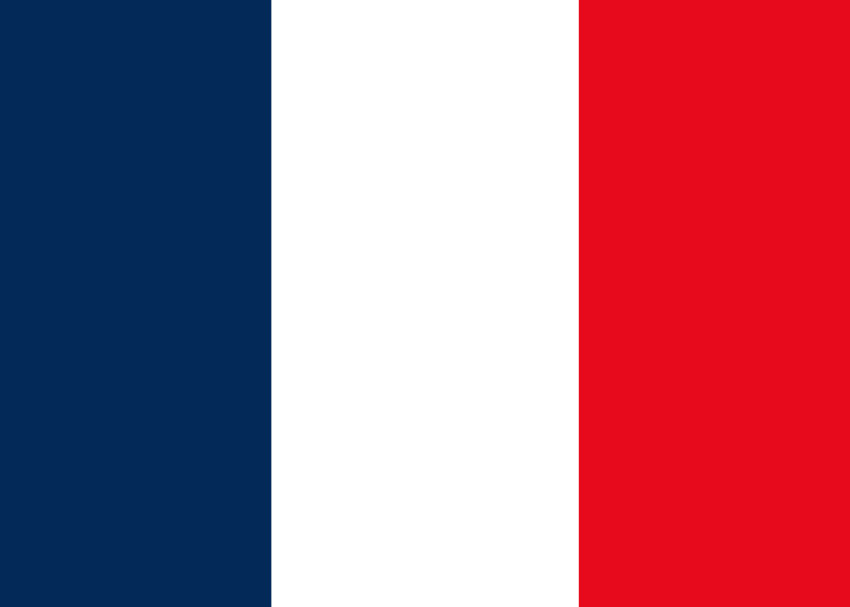 フランス国旗ポスター トリコロール | Poster Store JP