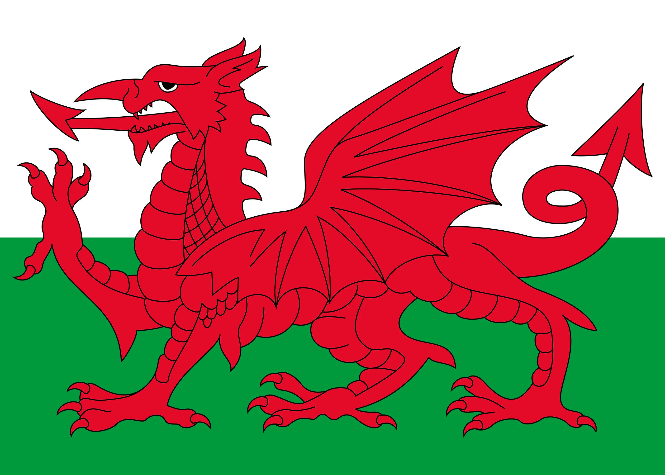 Wales Flagge Poster 0