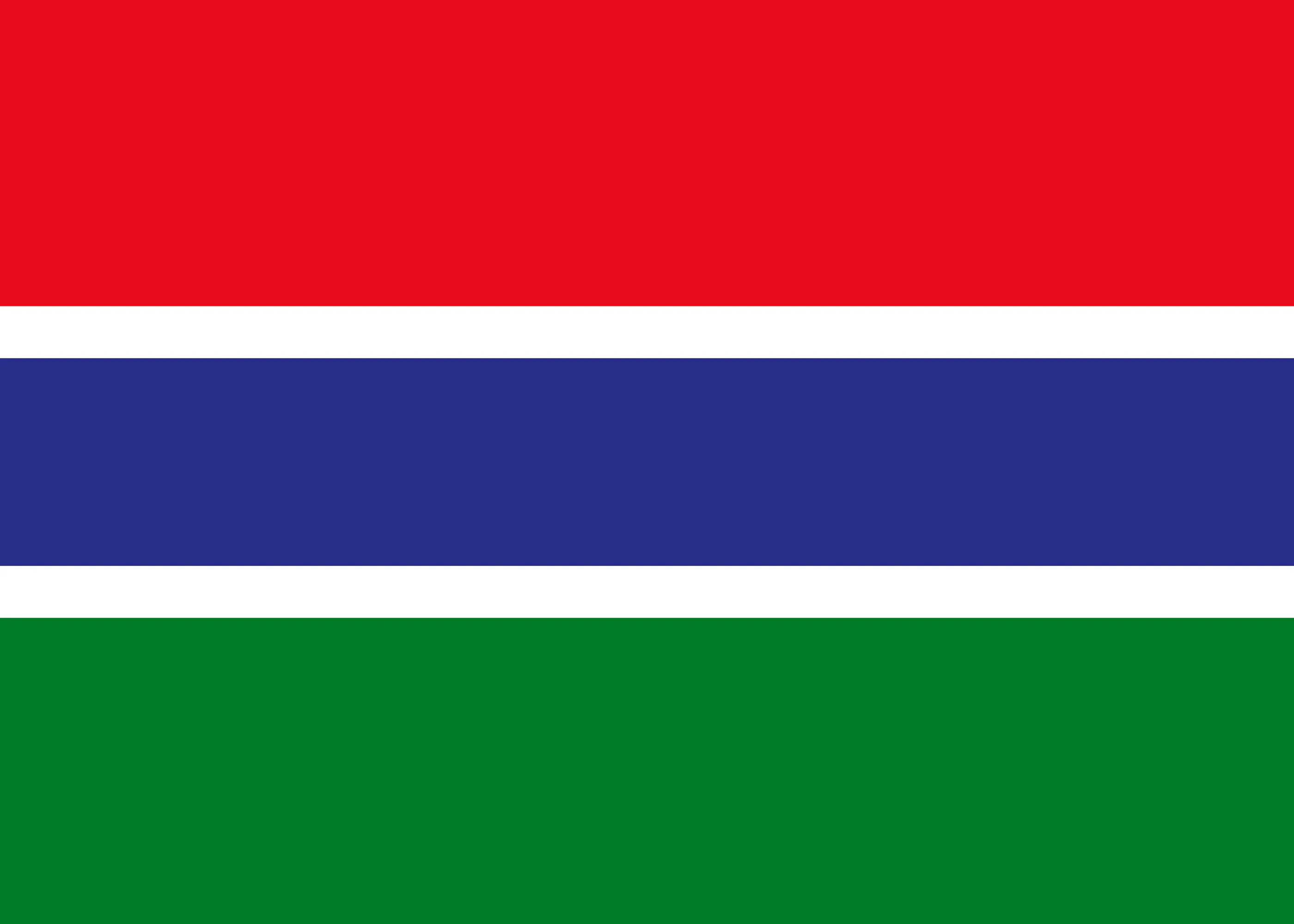 Gambia Flagge Poster 0