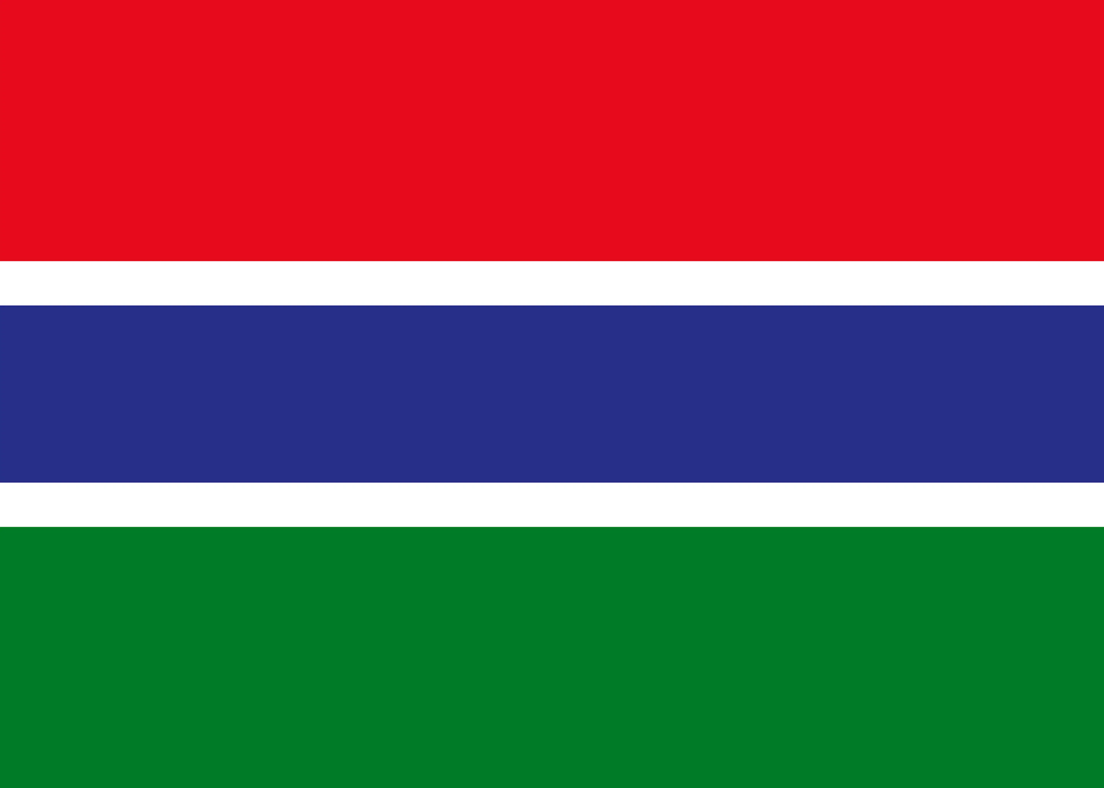 Gambia Flagge Poster 0