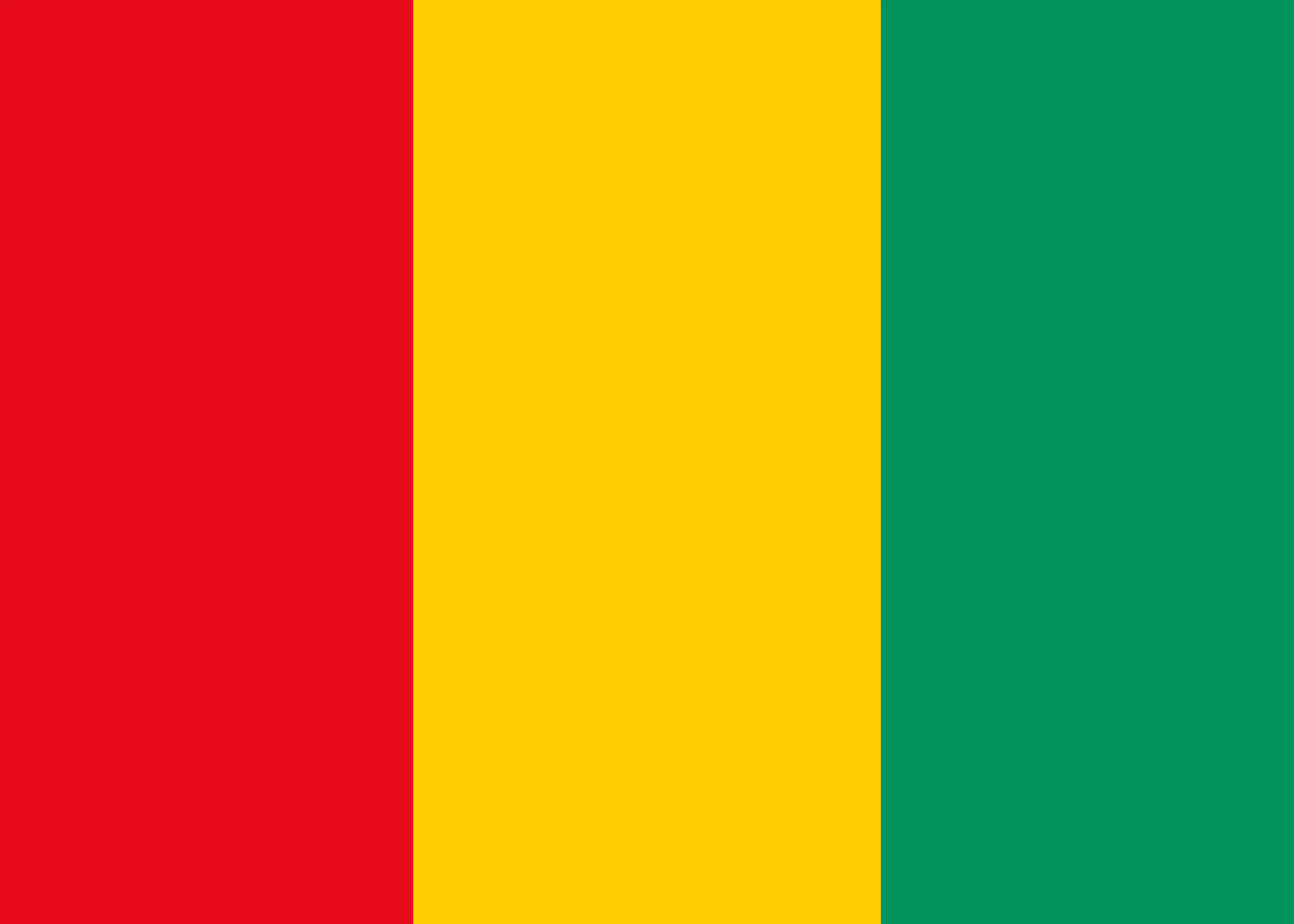 Guinea Flagge Poster 0
