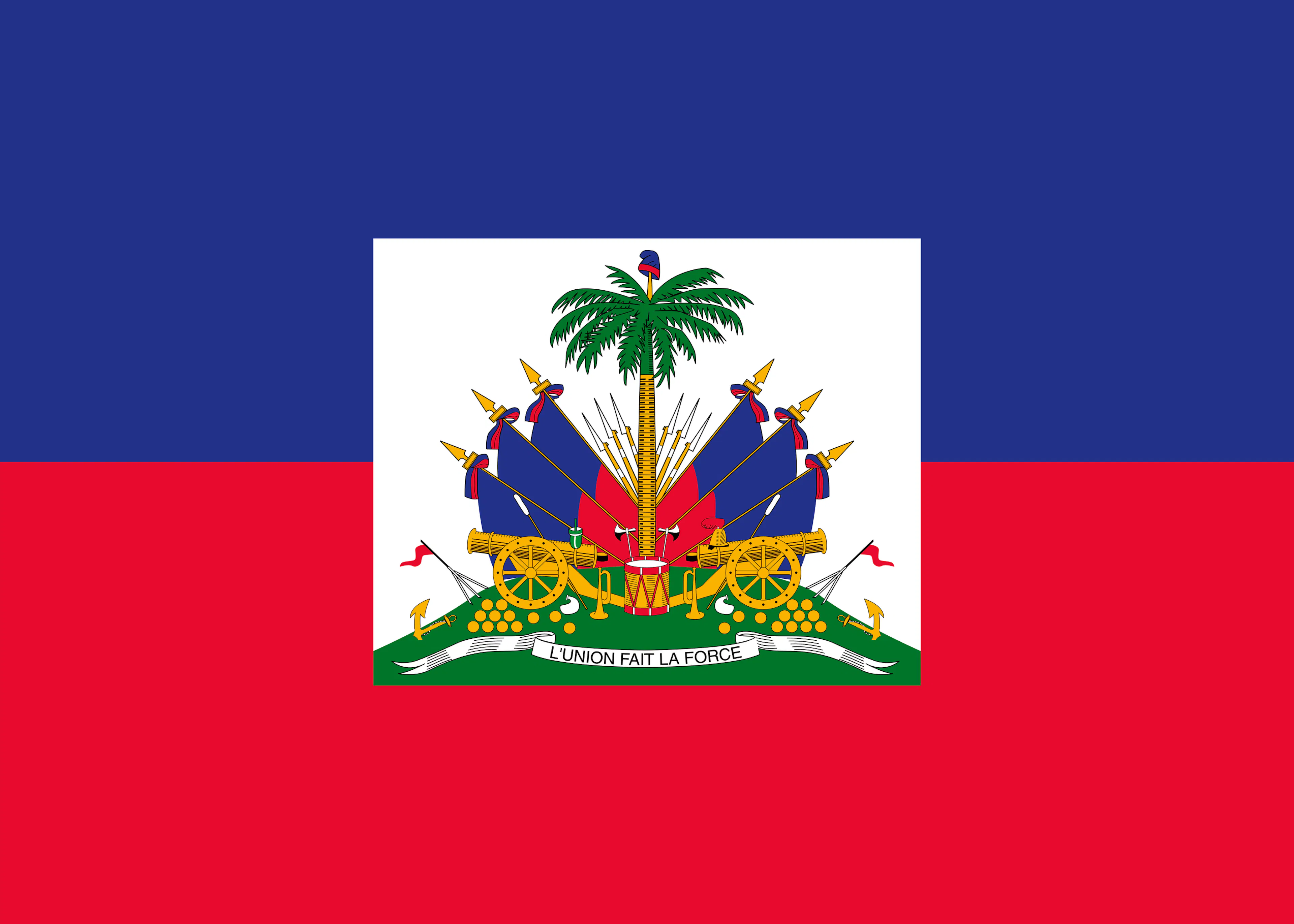 Haïtiaanse Vlag Poster 0