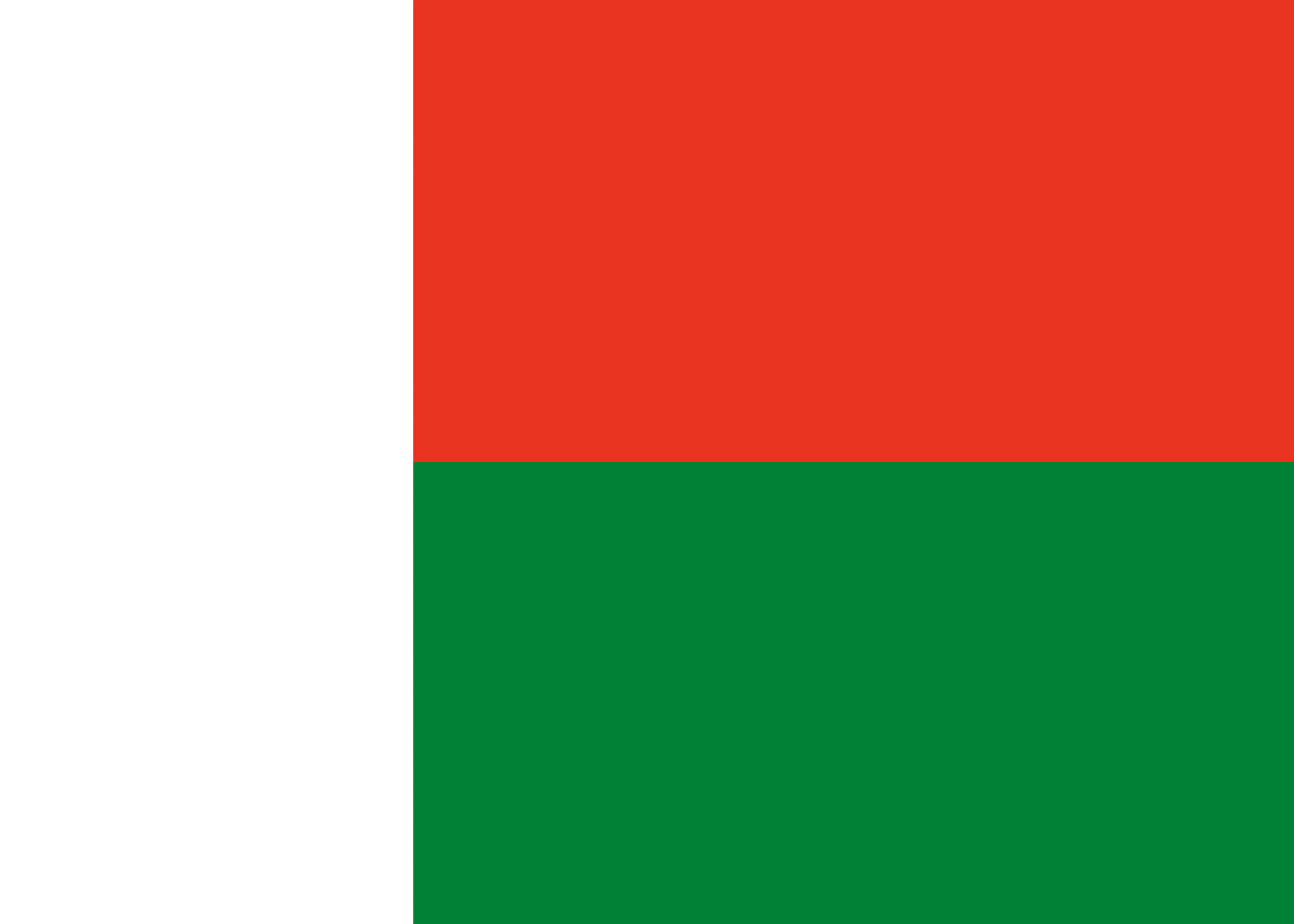 Madagaskar Flagge Poster 0