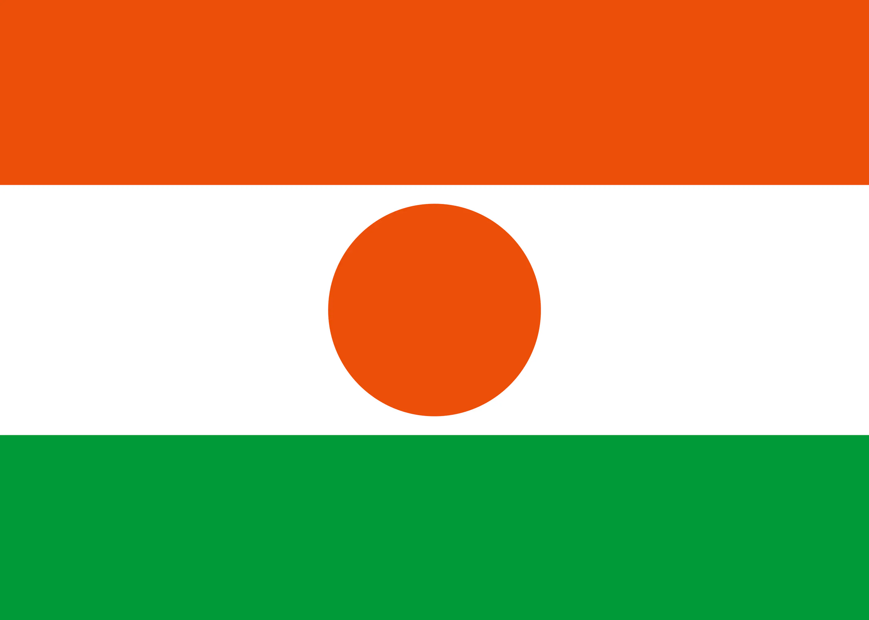 Niger-Flagge Poster 0