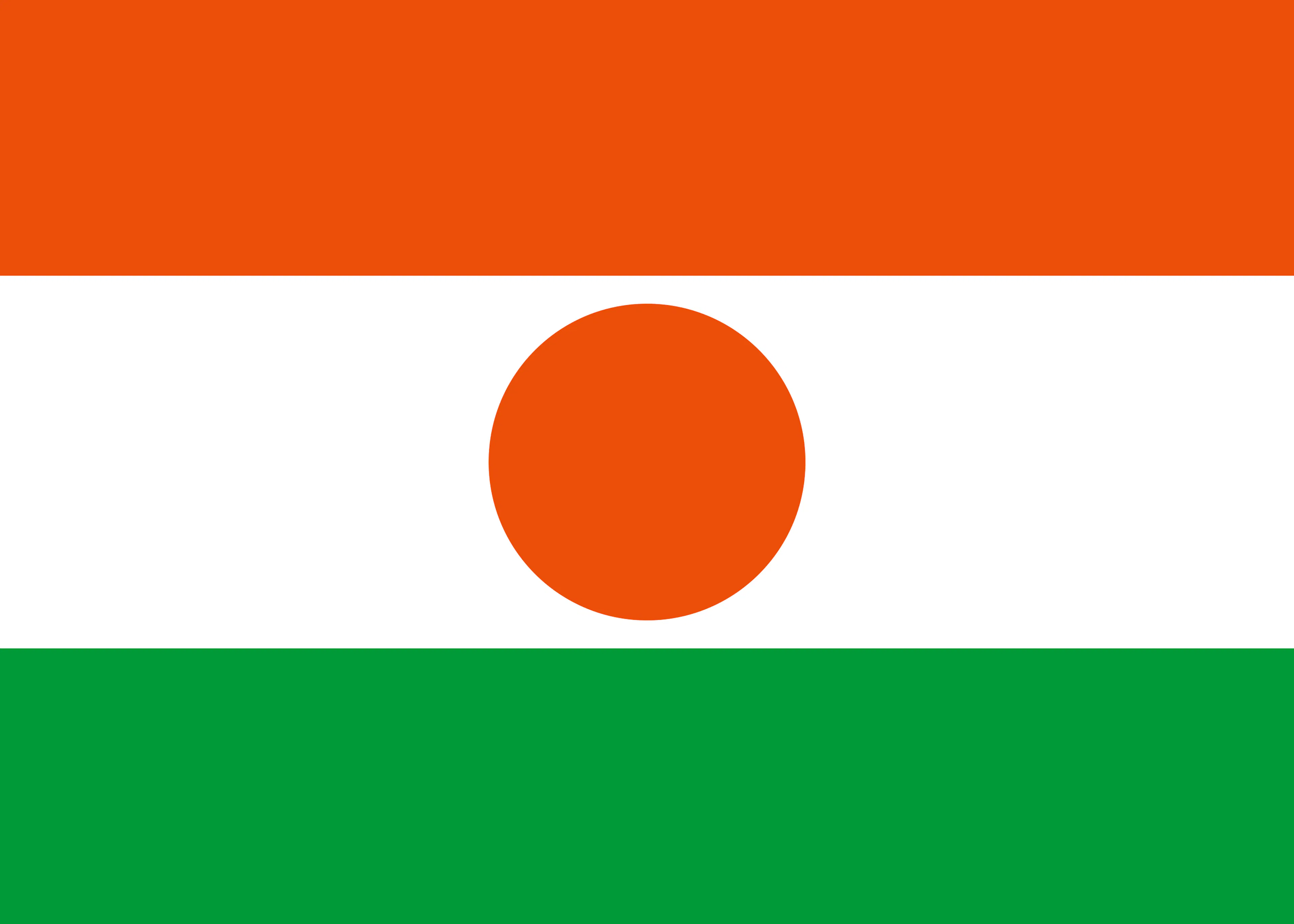 Niger-Flagge Poster 0