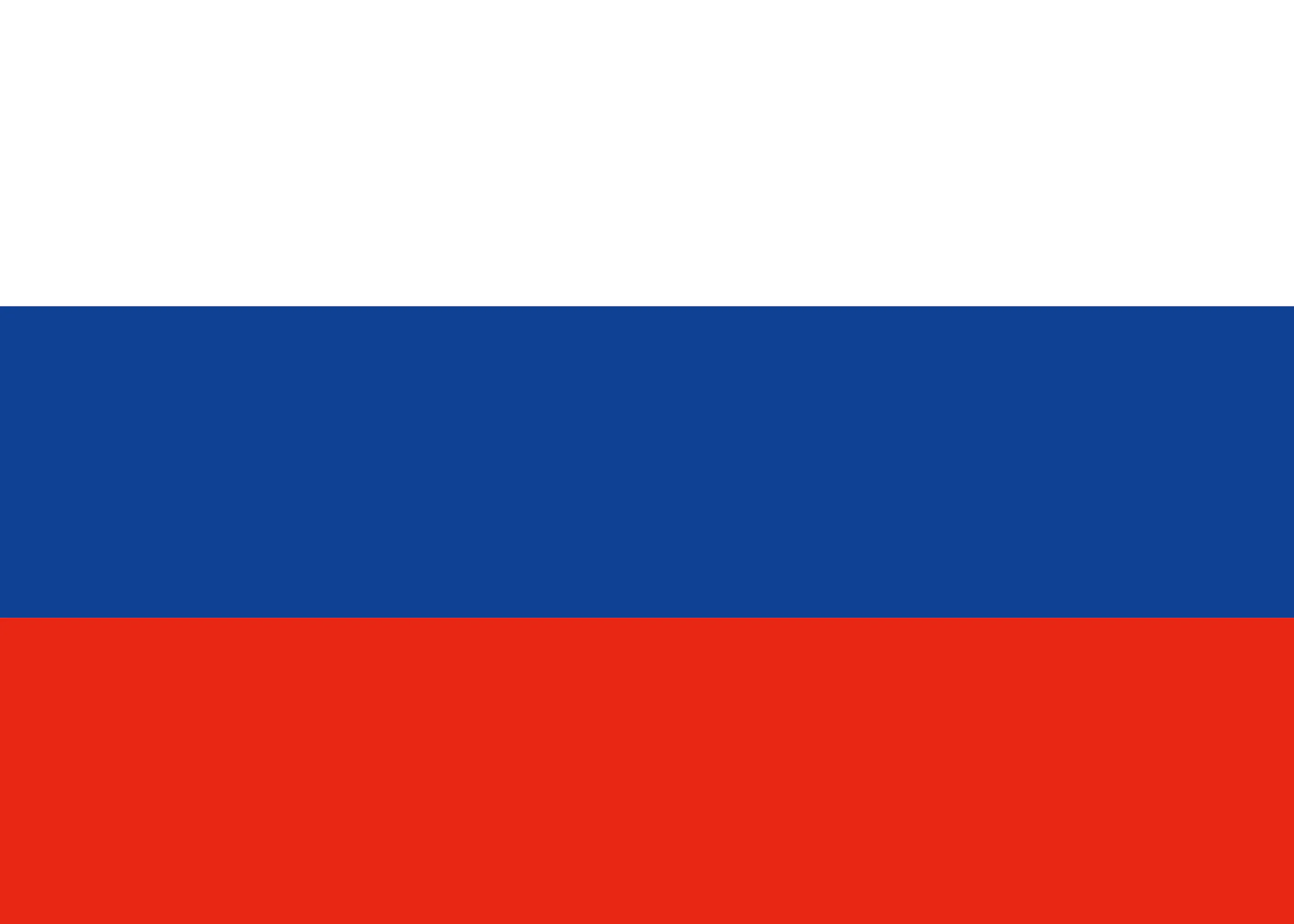 Russland-Flagge Poster 0