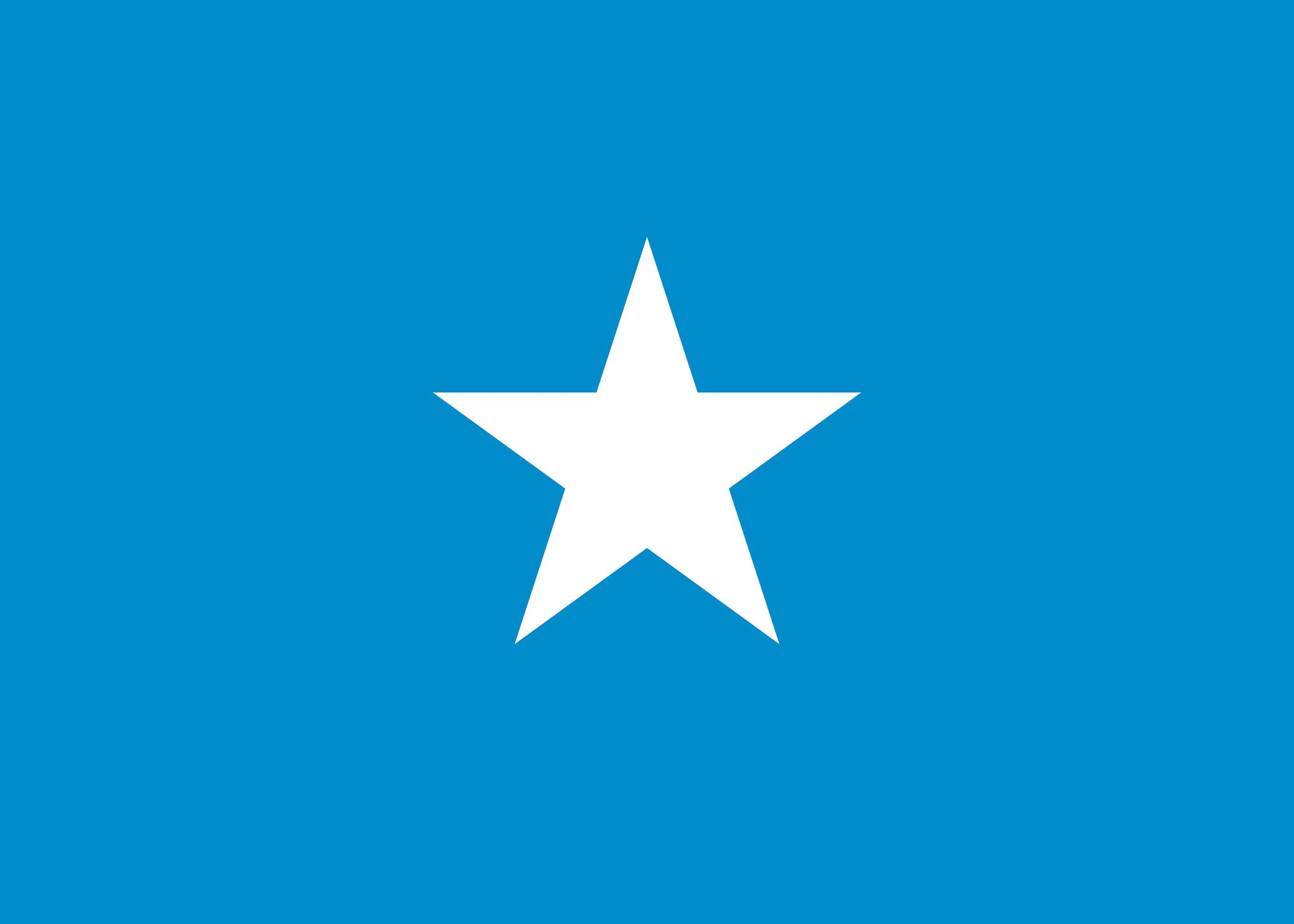 Somalia Flagge Poster 0