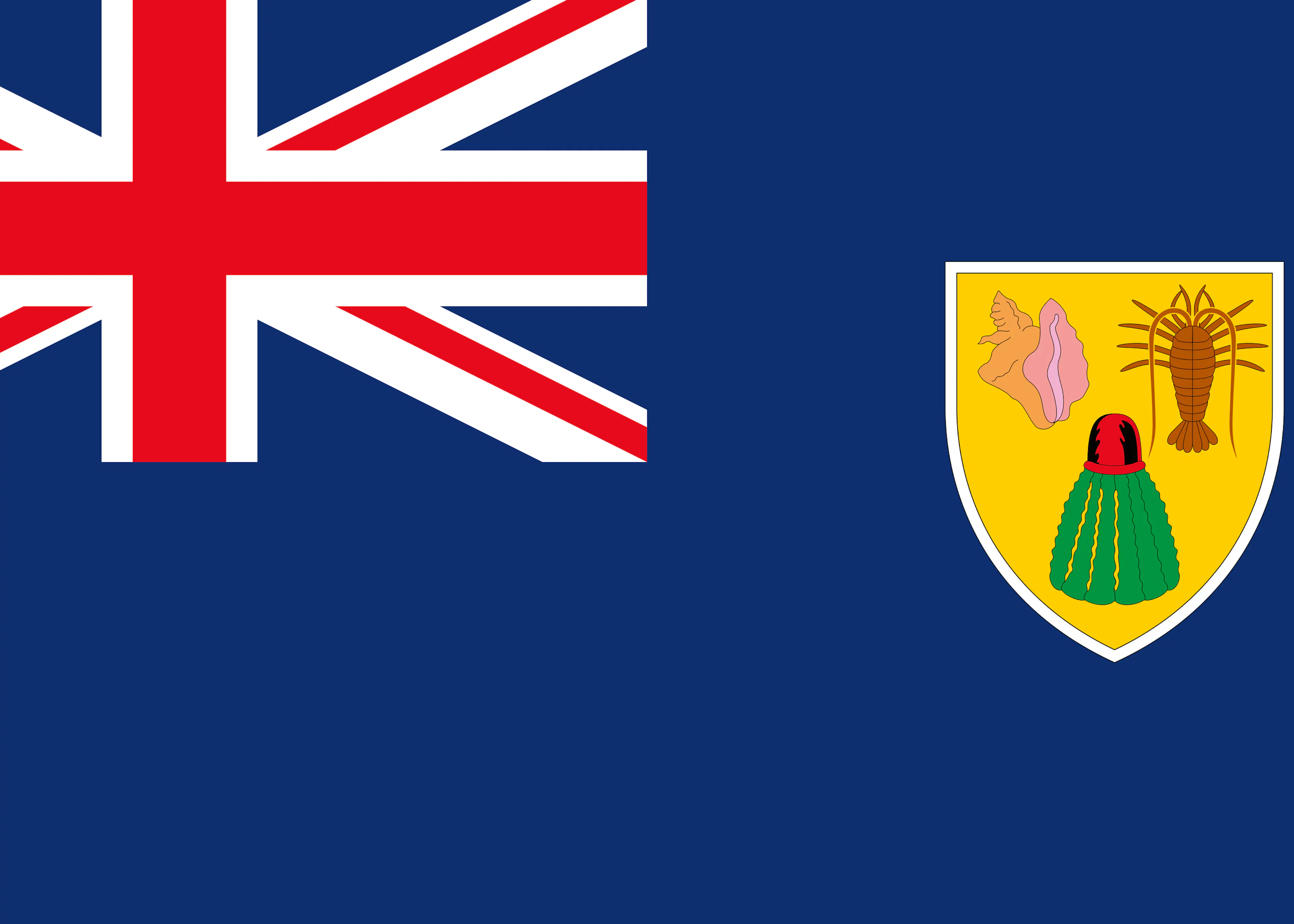 Turks und Caicos Inseln Flagge Poster 0