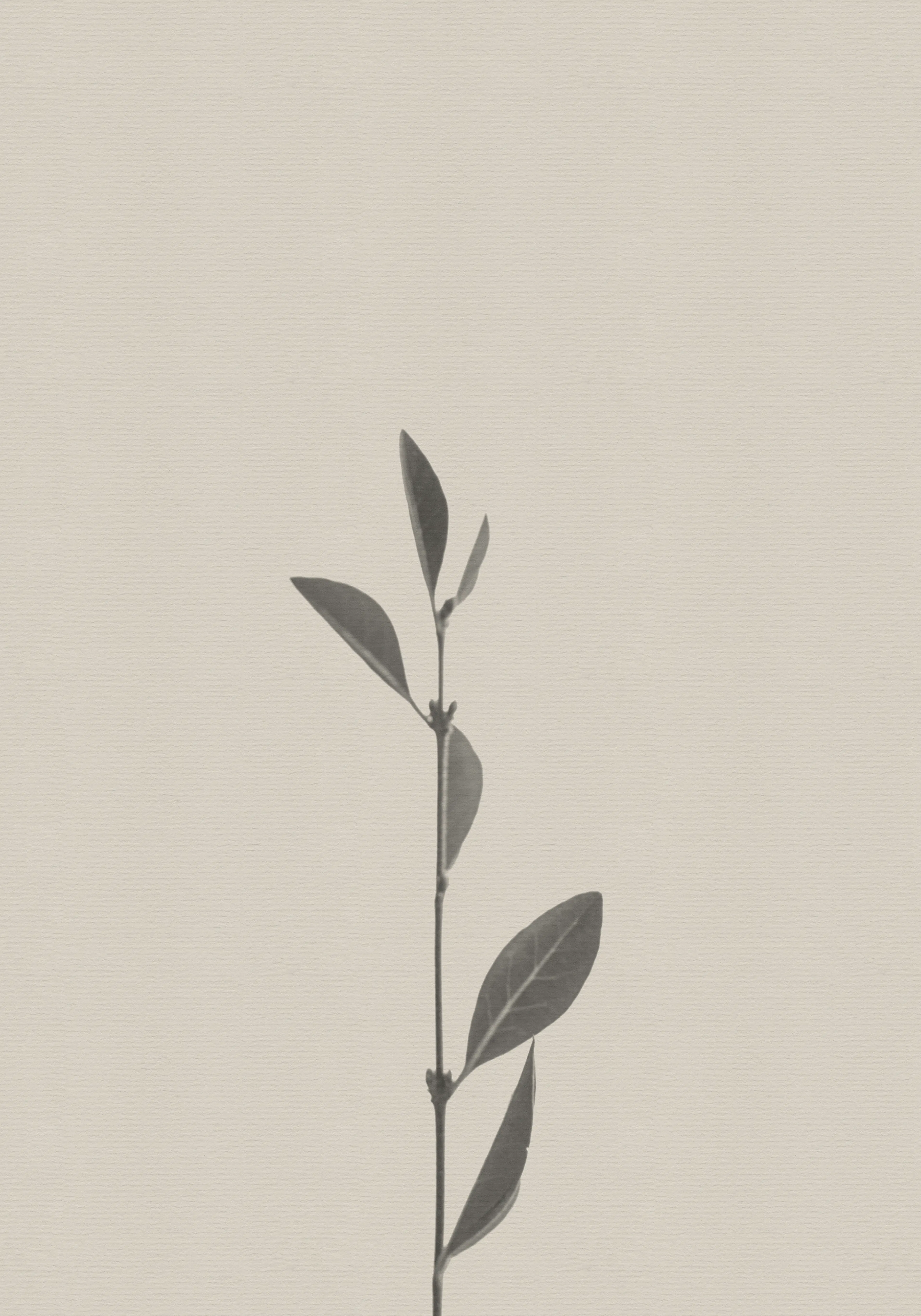 Product image: 1