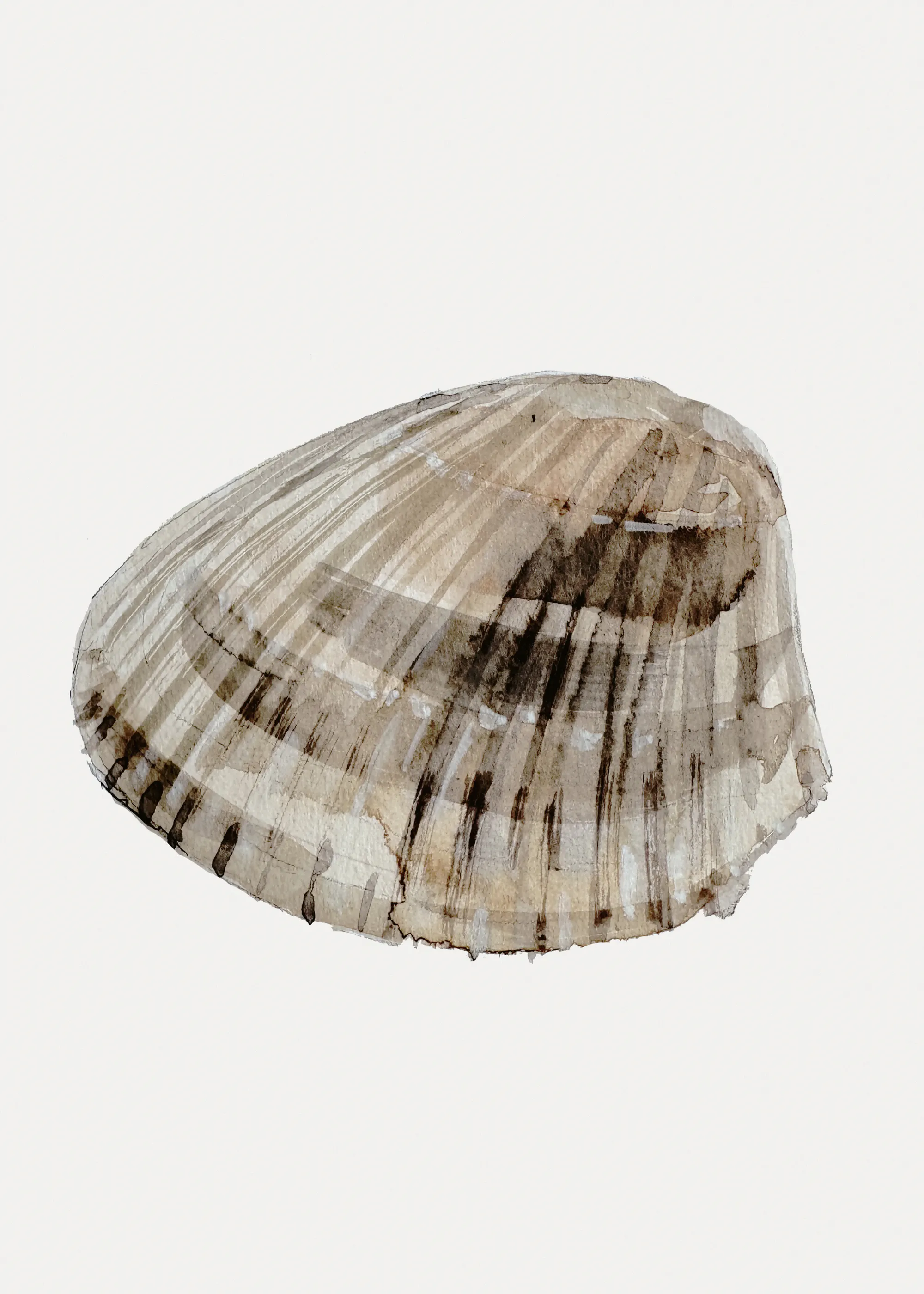 Treechild - Seashell Serenity Poster 0