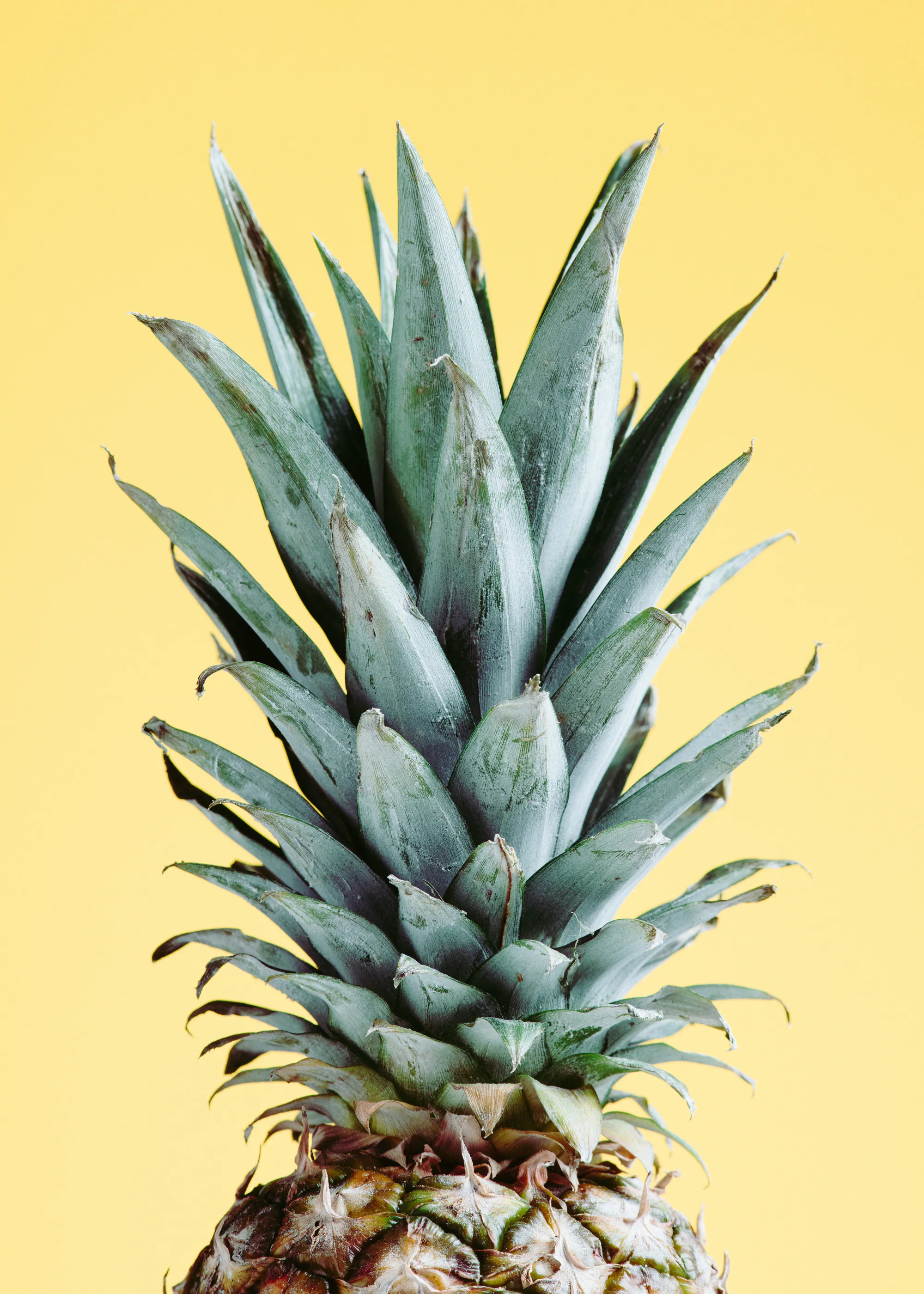 Pictufy Studio III - Tropical Pineapple Yellow Poster 0