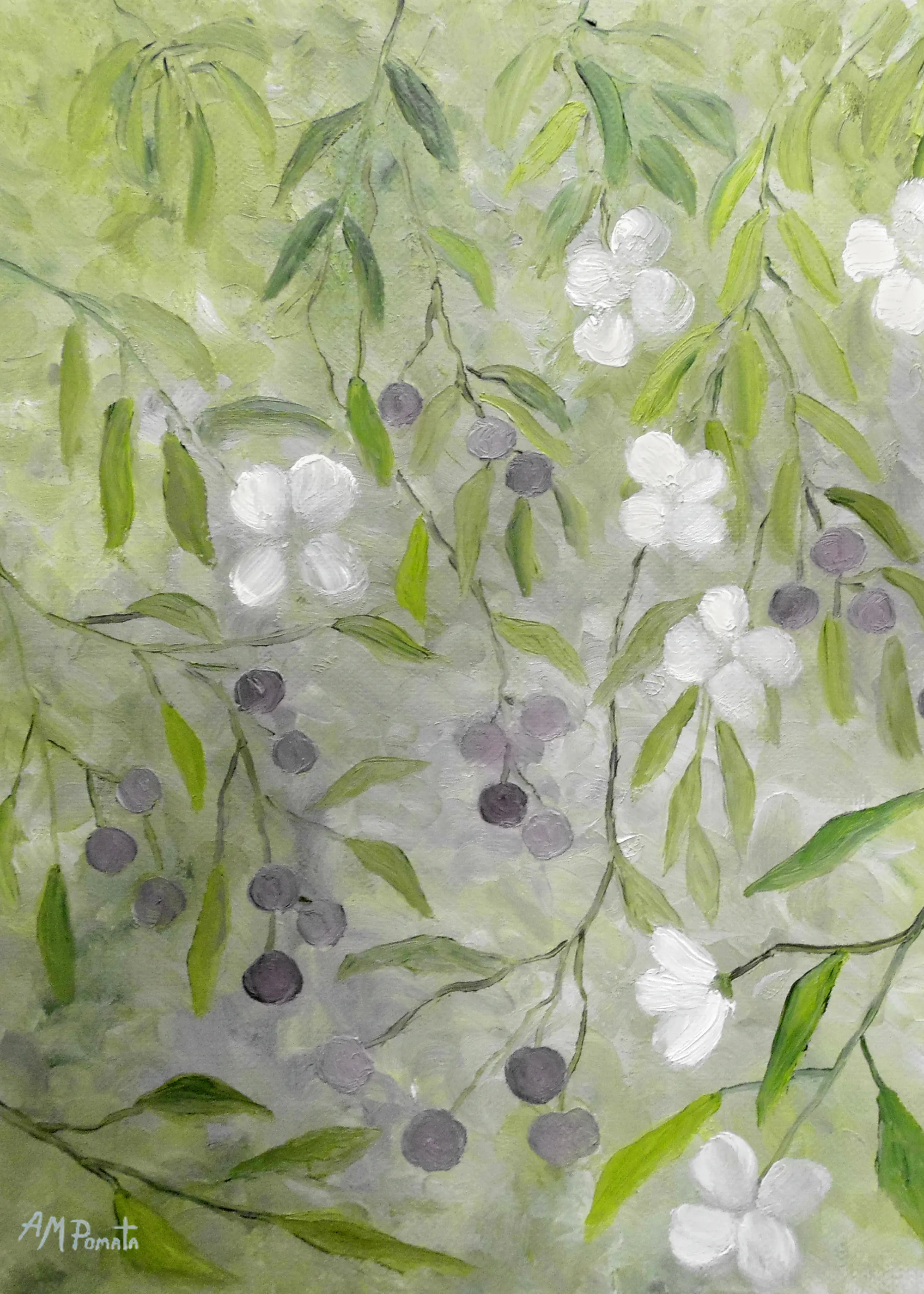 Angeles M. Pomata - Flowering Olive Branches Poster 0