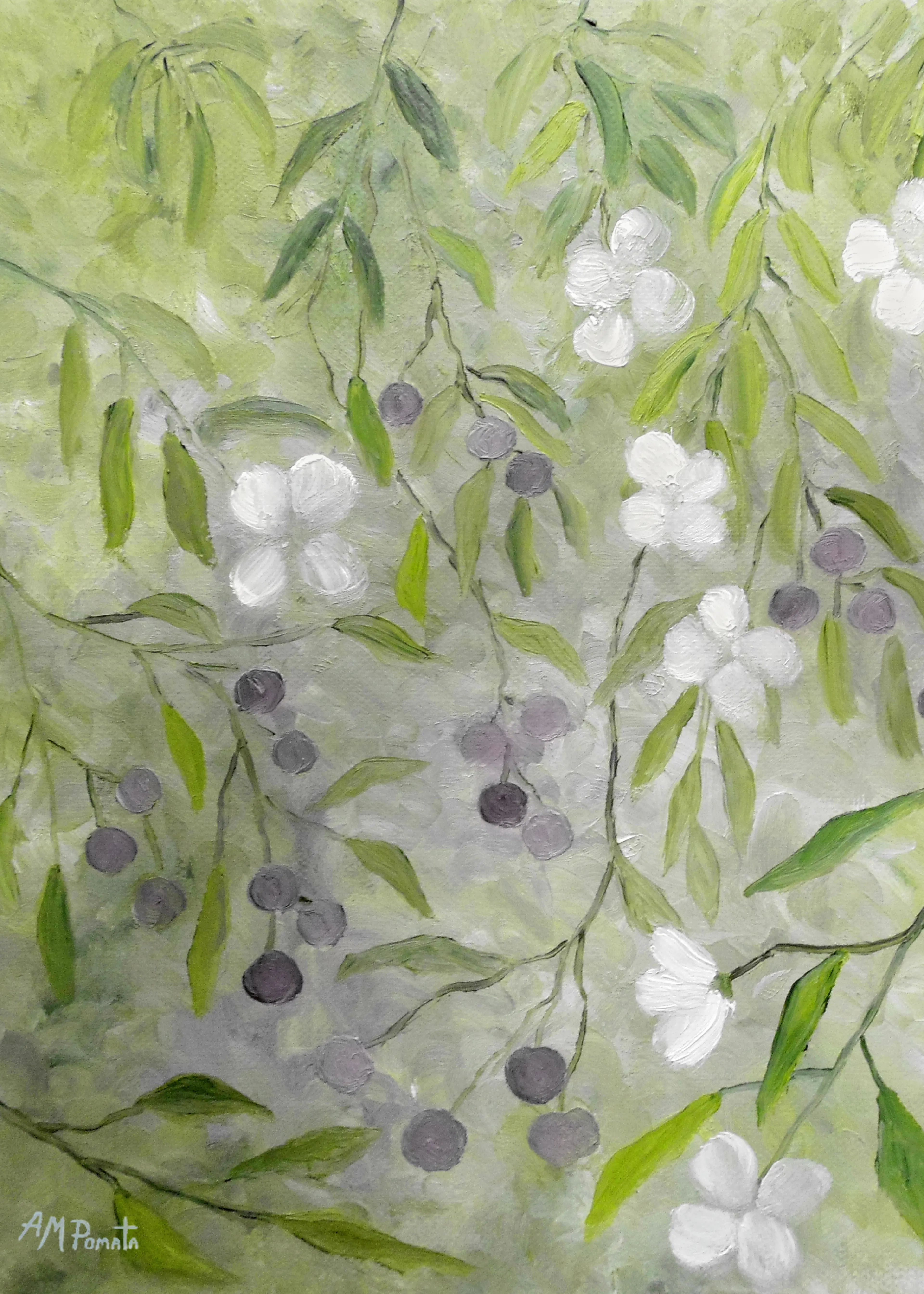 Angeles M. Pomata - Flowering Olive Branches Poster 0