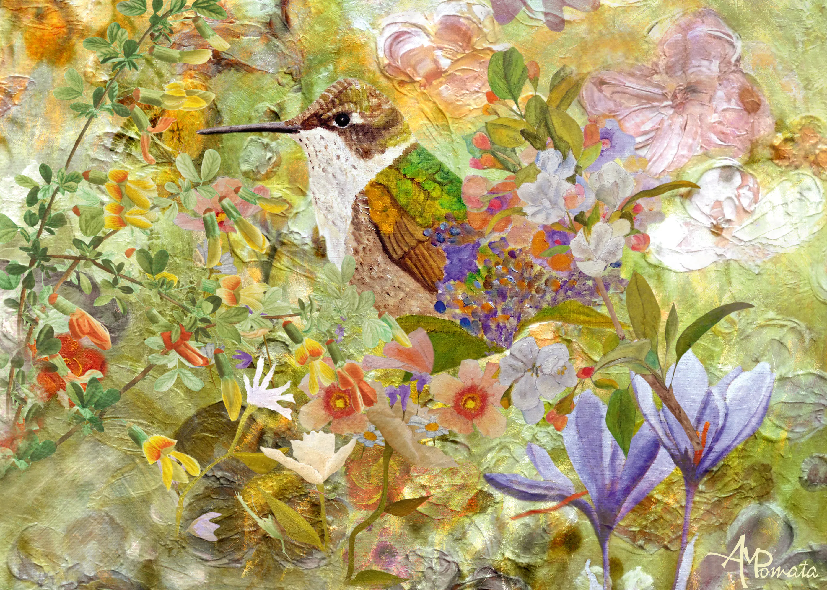 Angeles M. Pomata - Kolibri Hageblomster Plakat 0