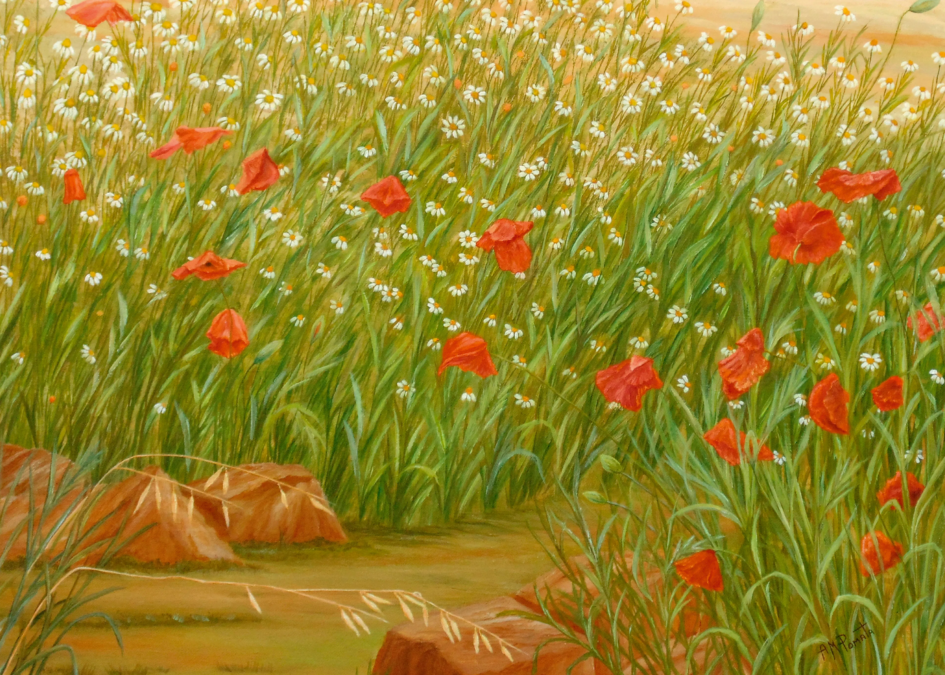 Angeles M. Pomata - Sommer Valmuer Prestekrage Eng Plakat 0