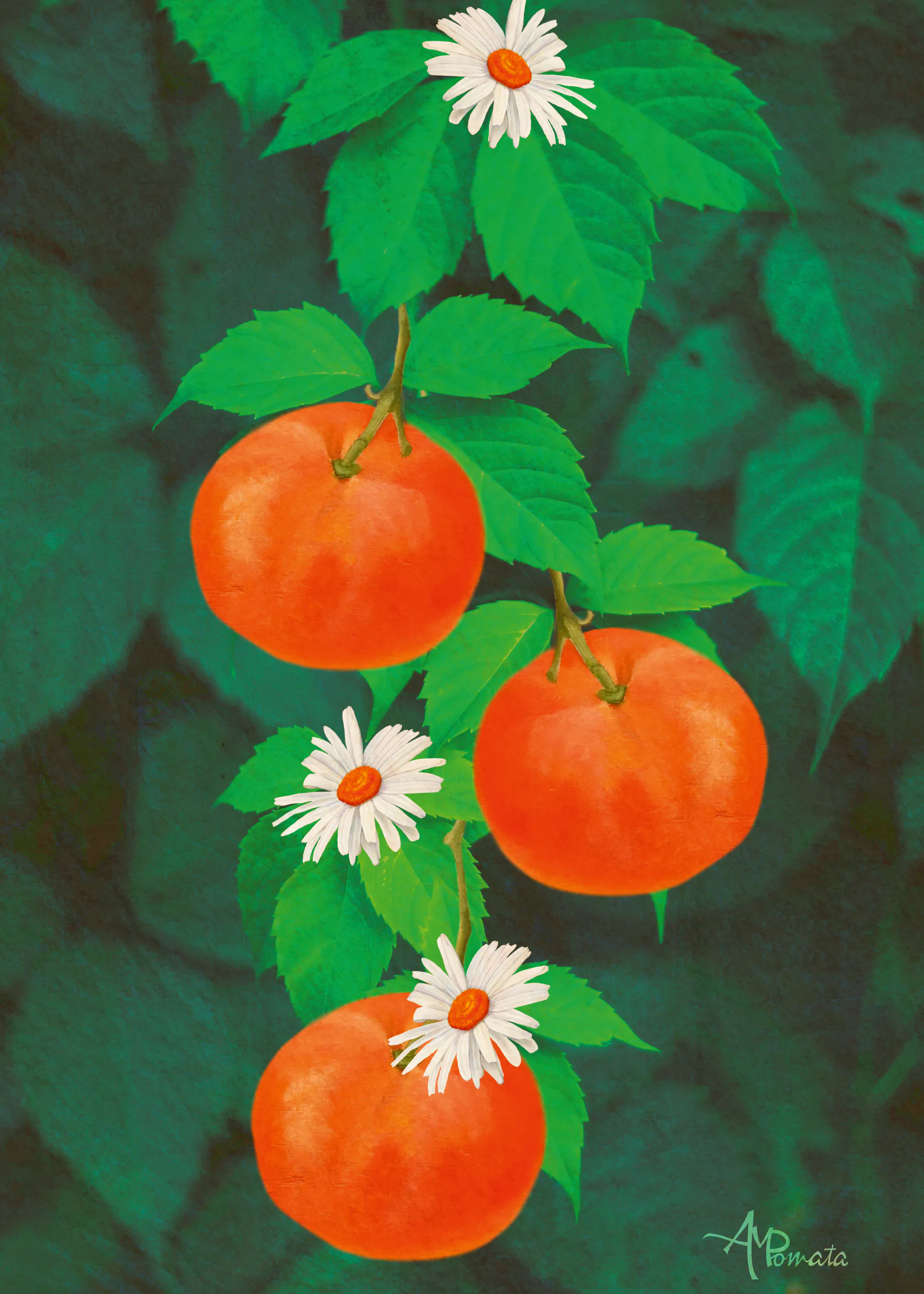 Angeles M. Pomata - Oransje Frukter og Prestekrager Plakat 0